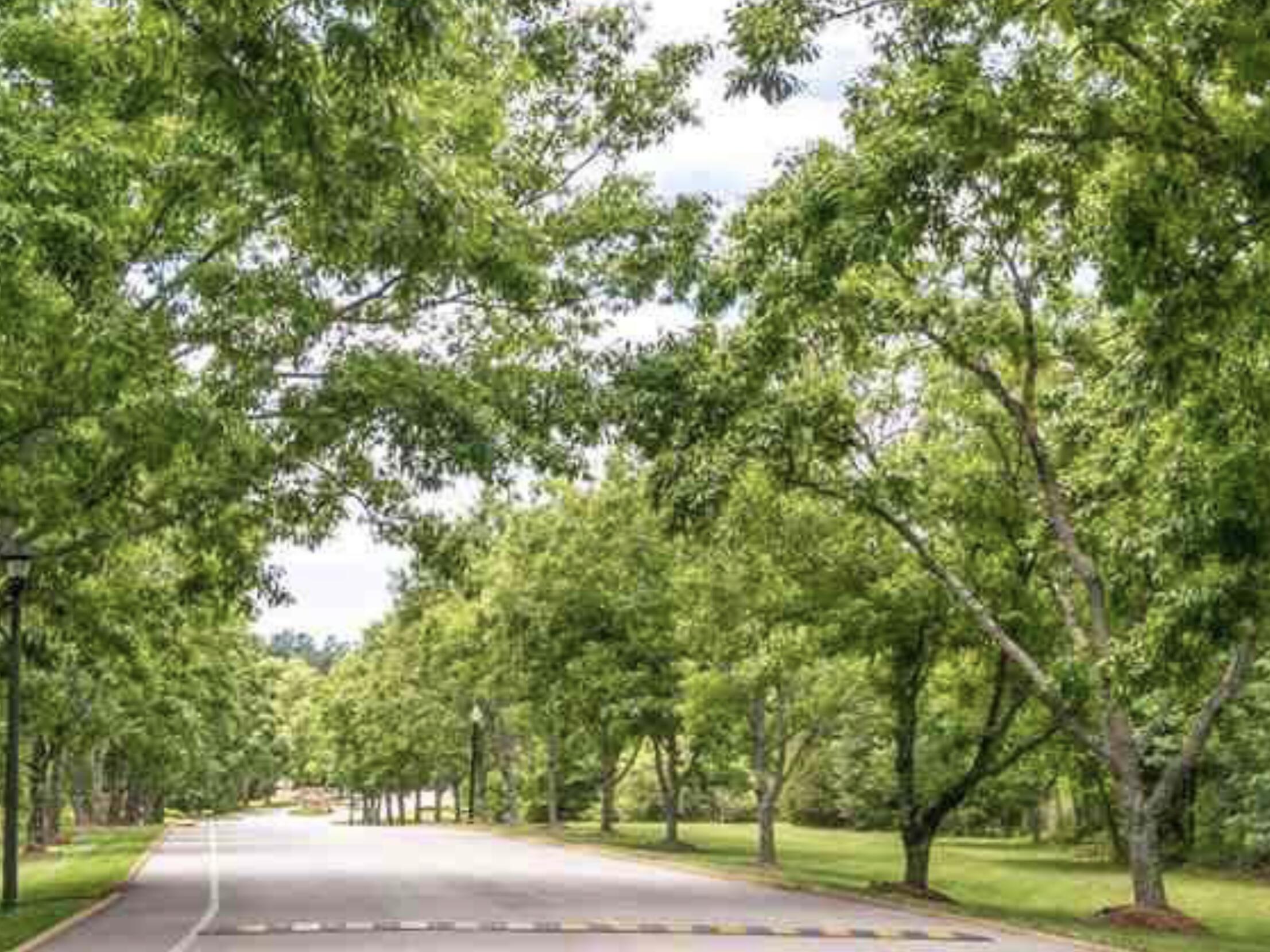377 Blue Jay Parkway