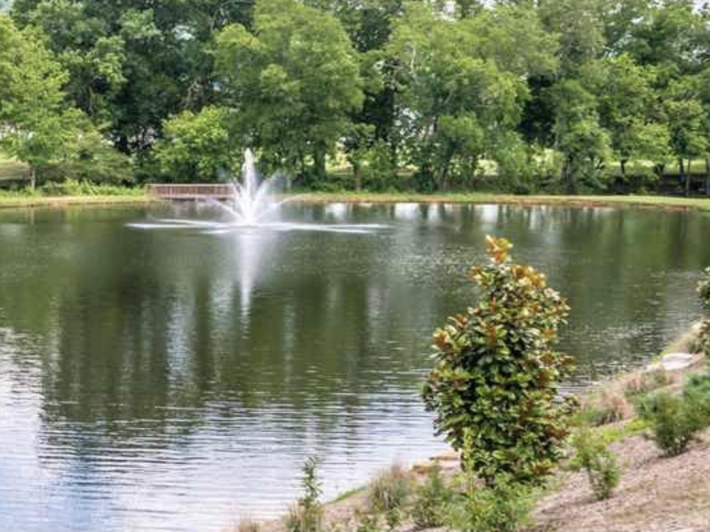 377 Blue Jay Parkway