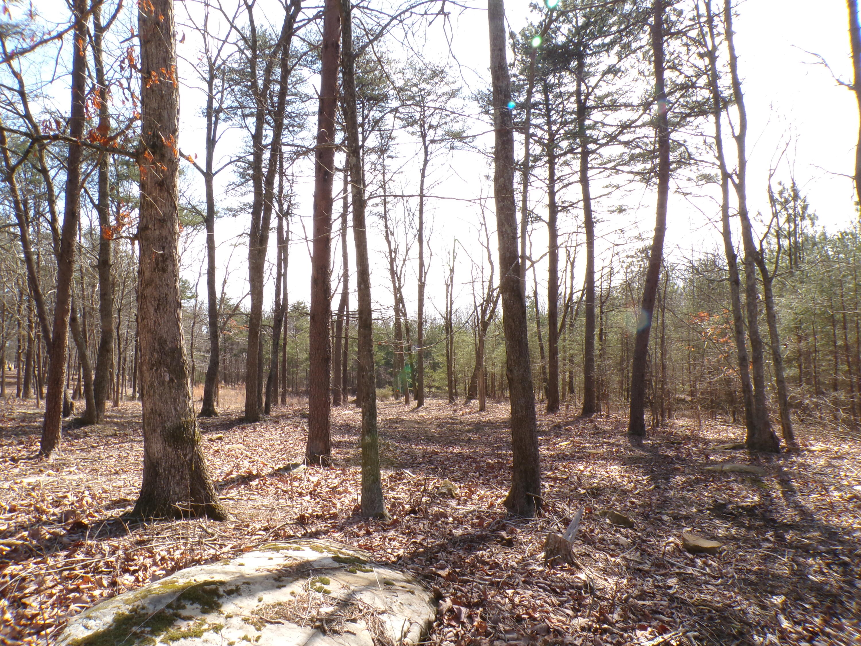 0 Rushing Water Trail, 2