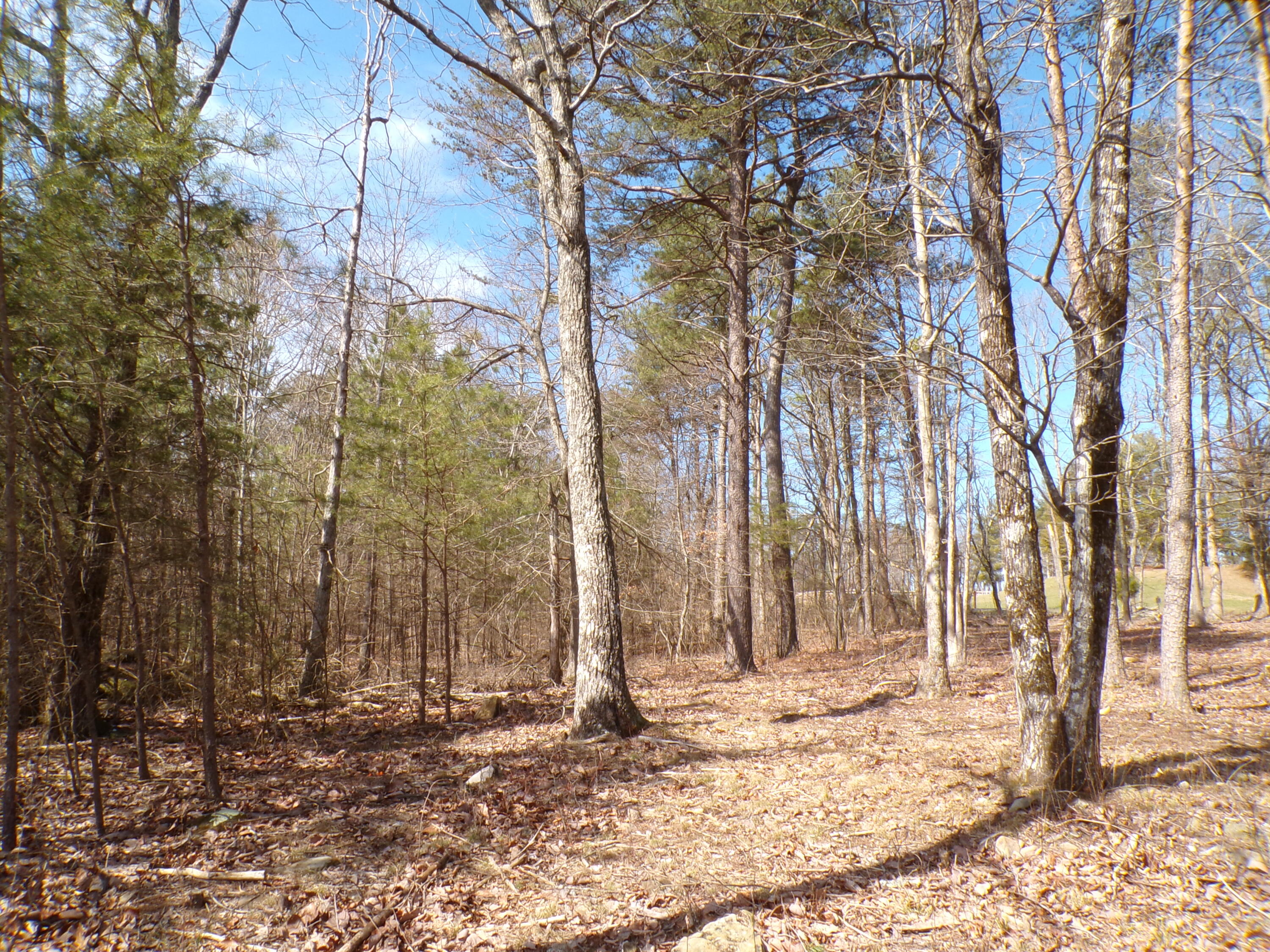 0 Rushing Water Trail, 2