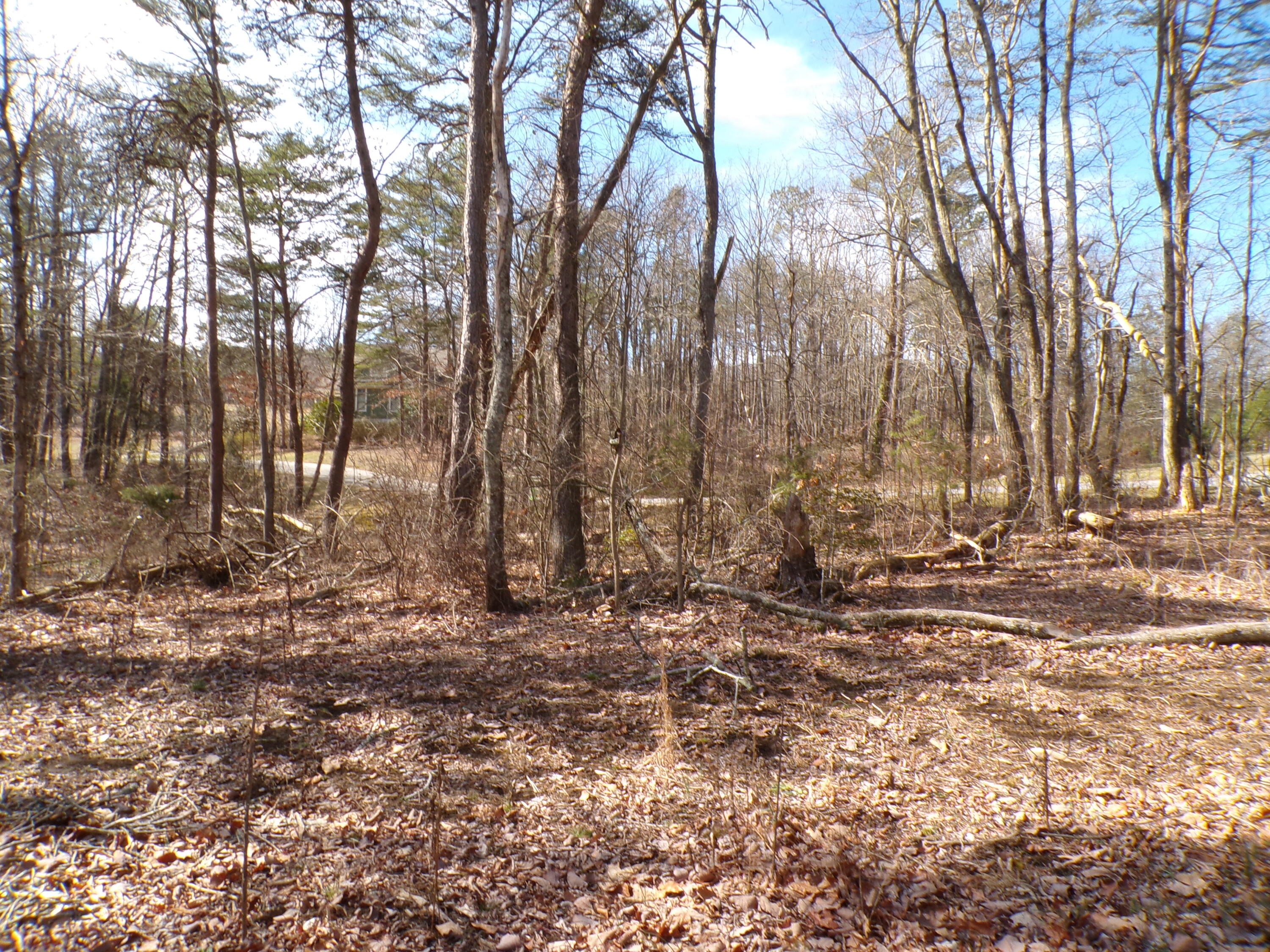 0 Rushing Water Trail, 2