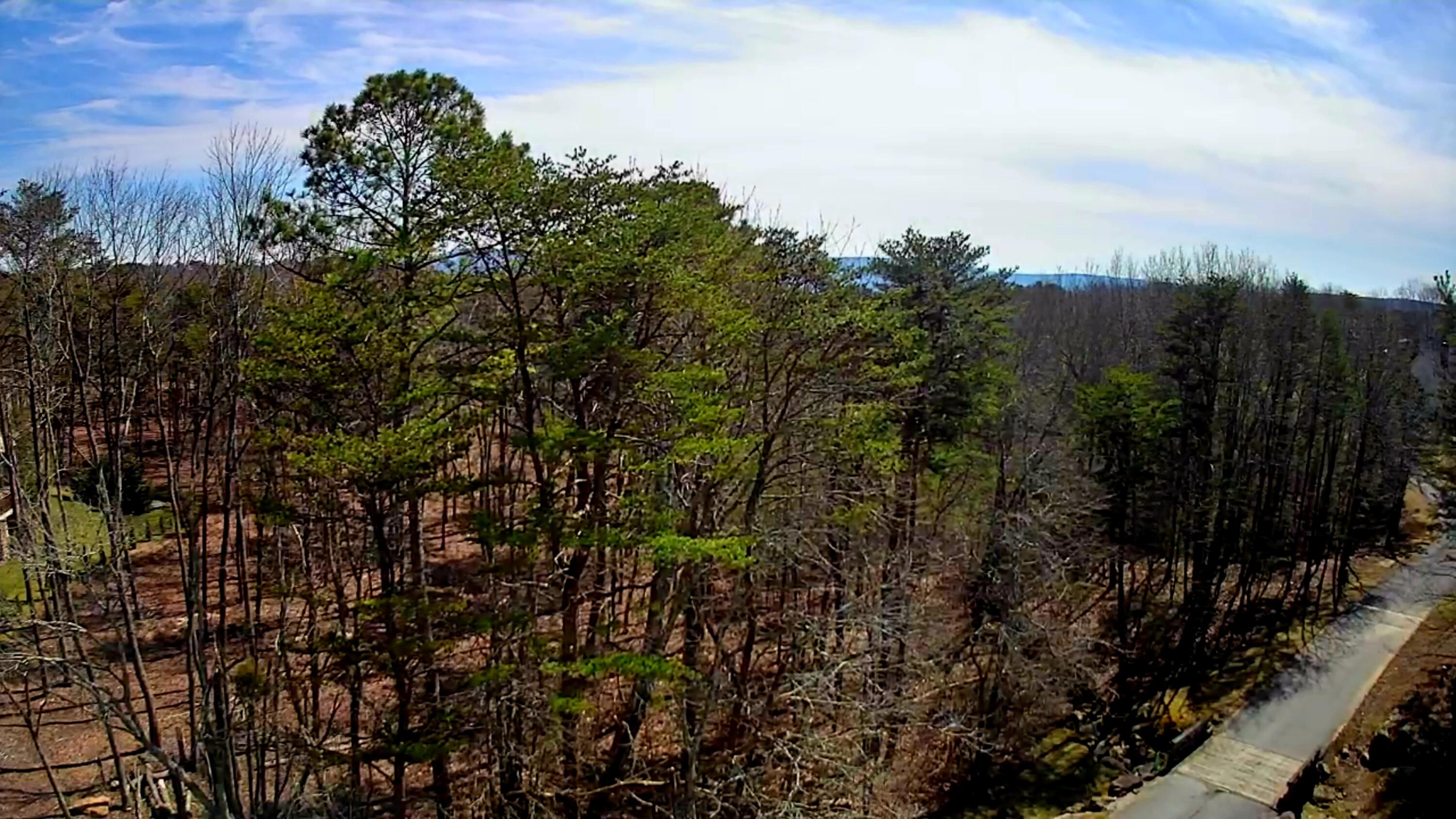 0 Rushing Water Trail, 2