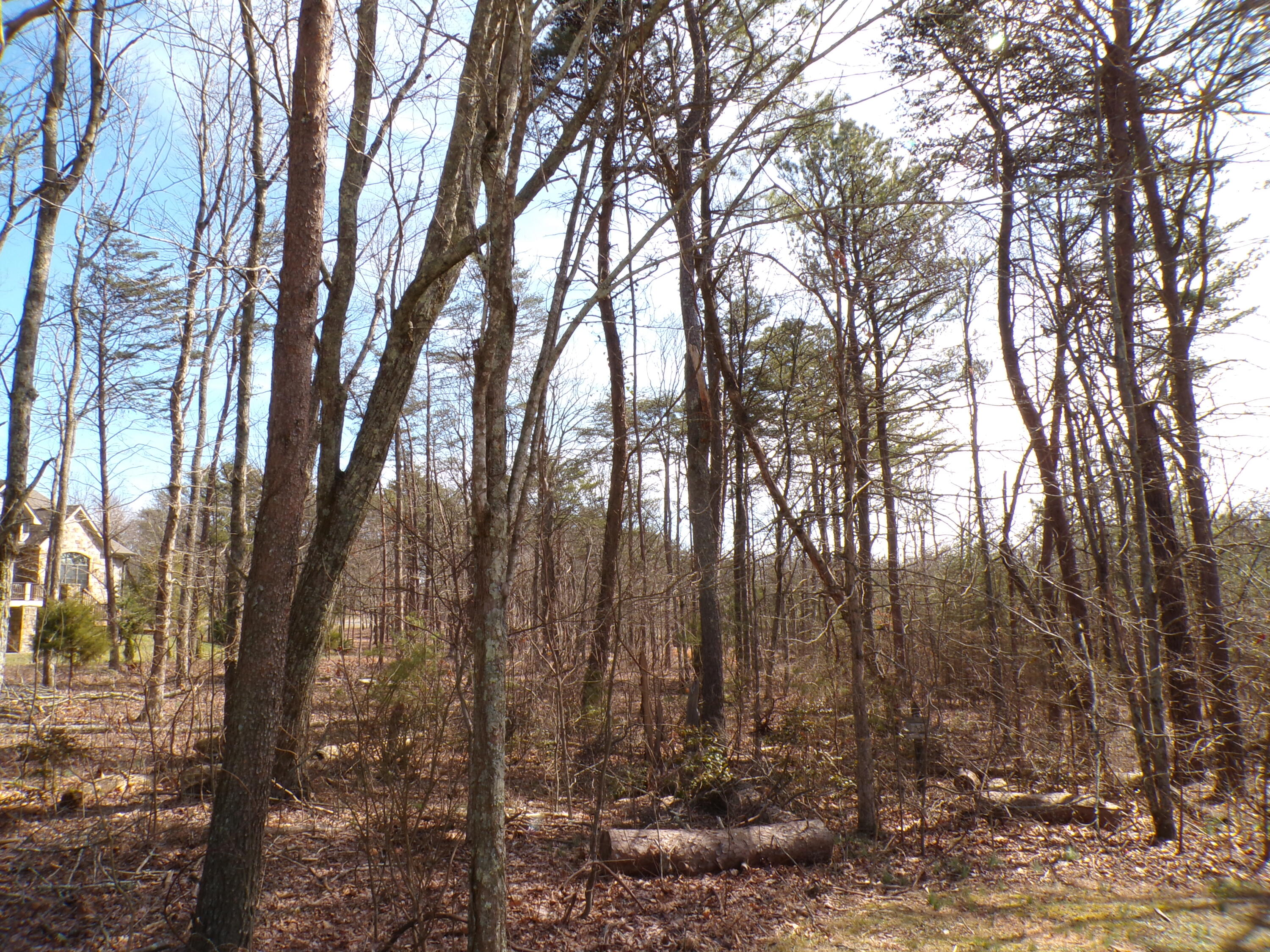 0 Rushing Water Trail, 2