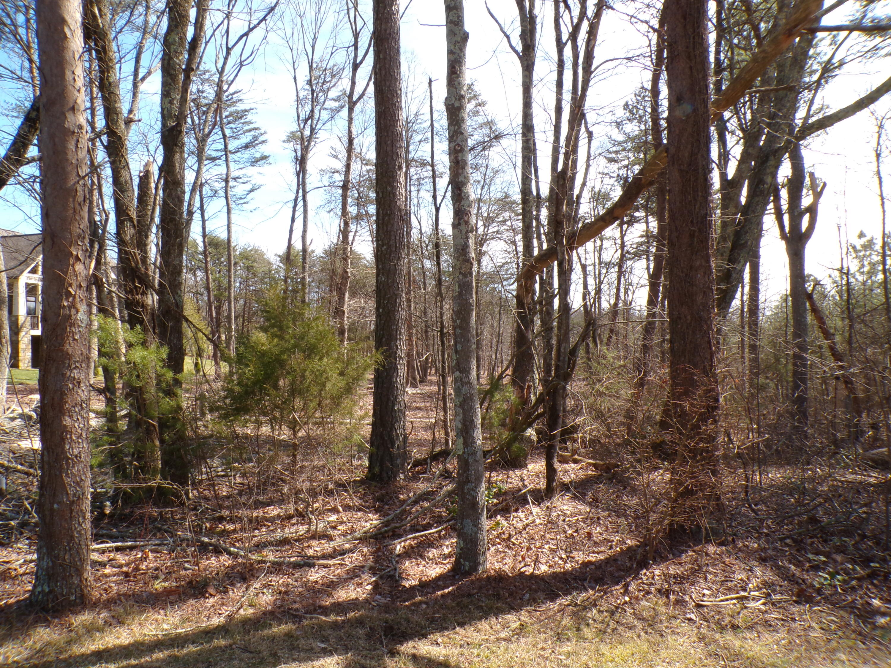 0 Rushing Water Trail, 2