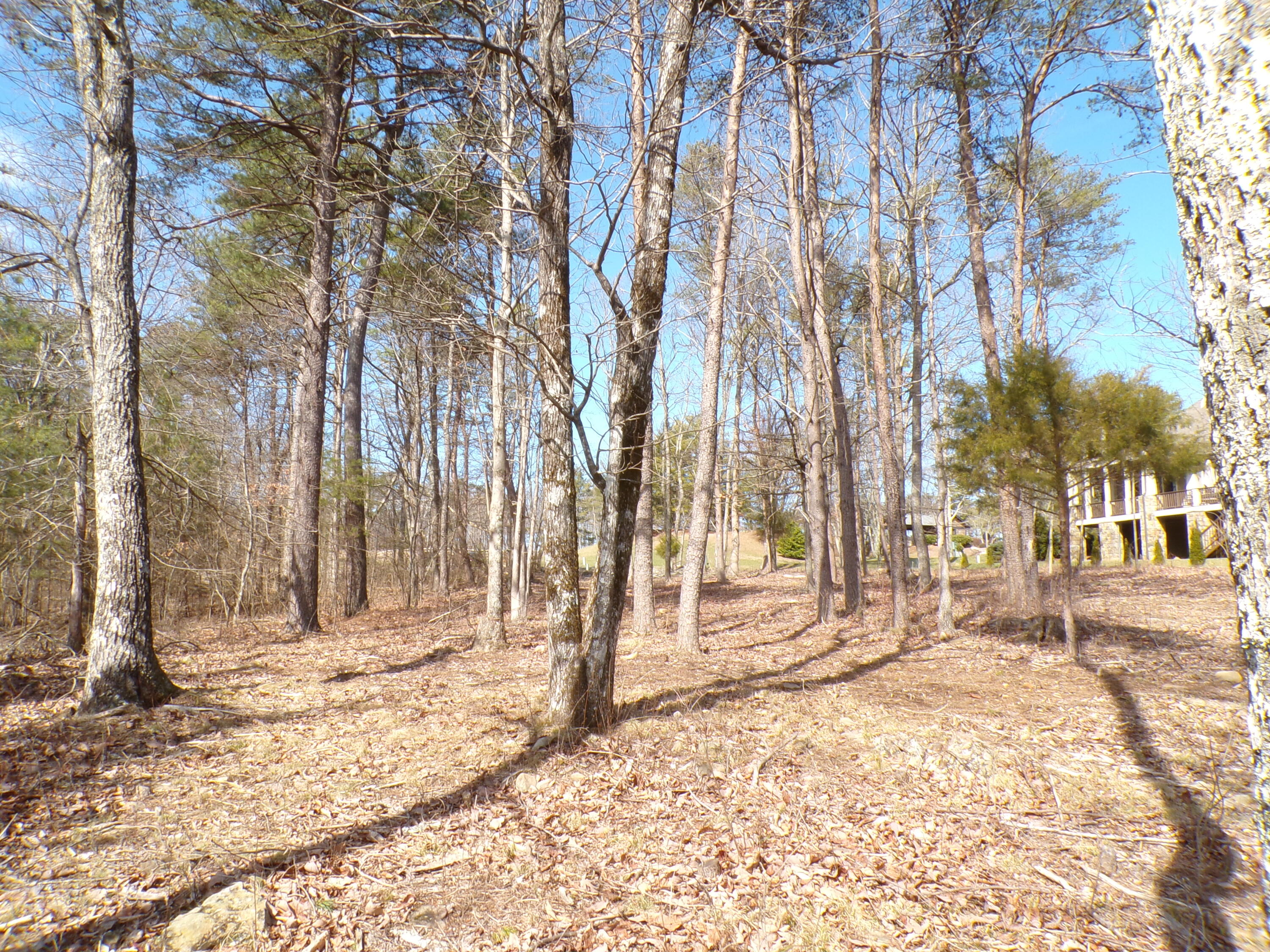 0 Rushing Water Trail, 2