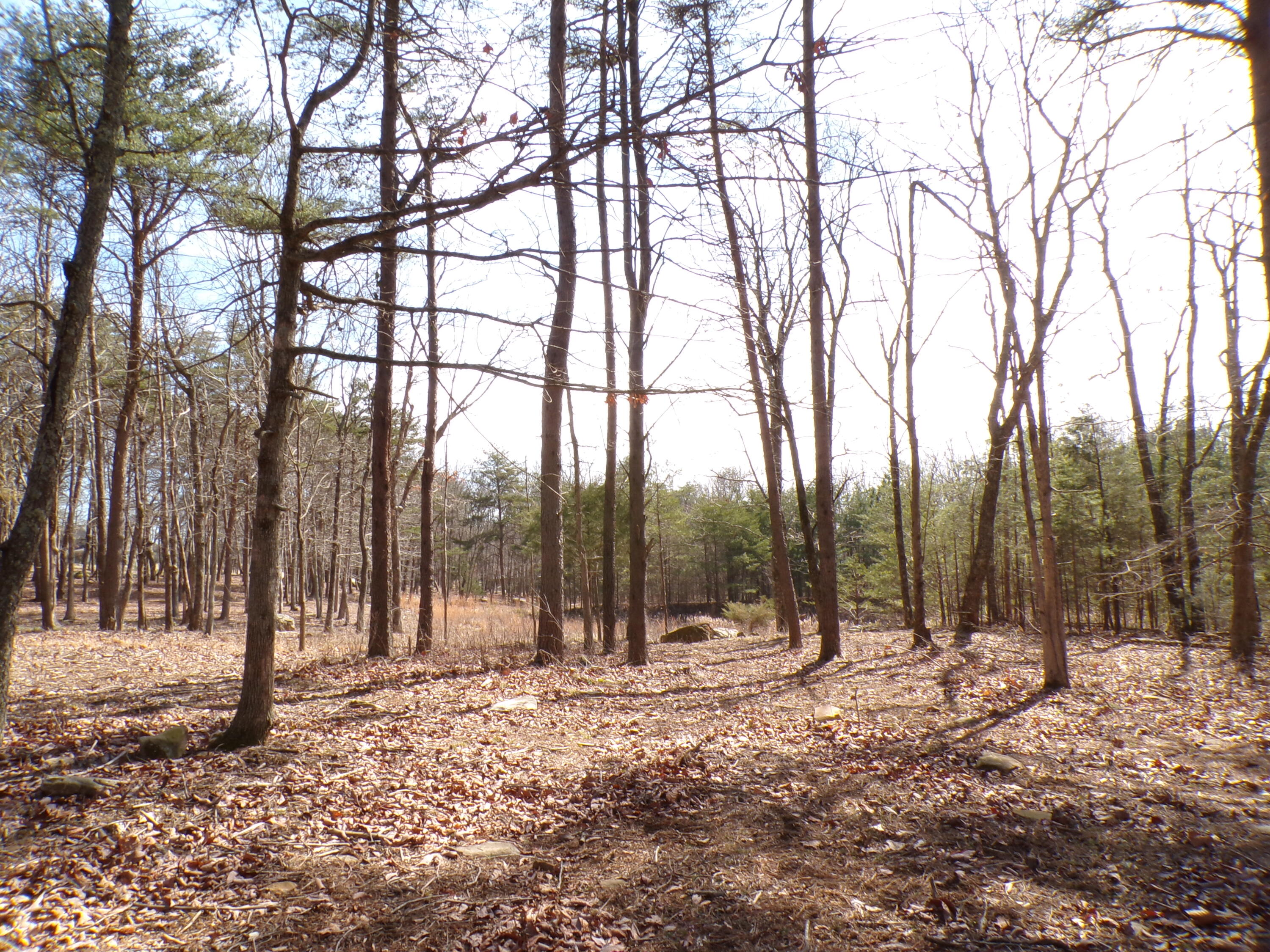 0 Rushing Water Trail, 2