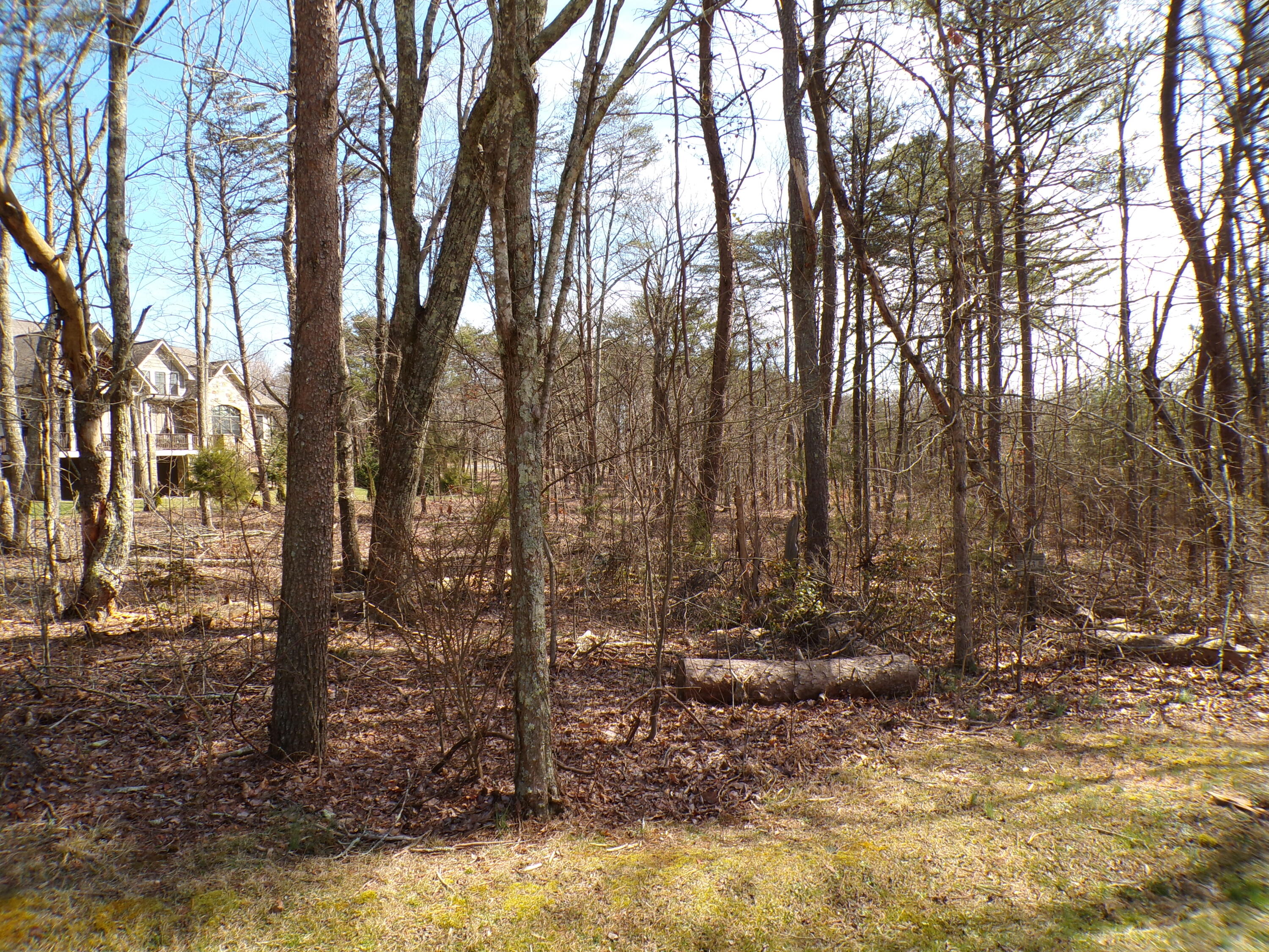 0 Rushing Water Trail, 2