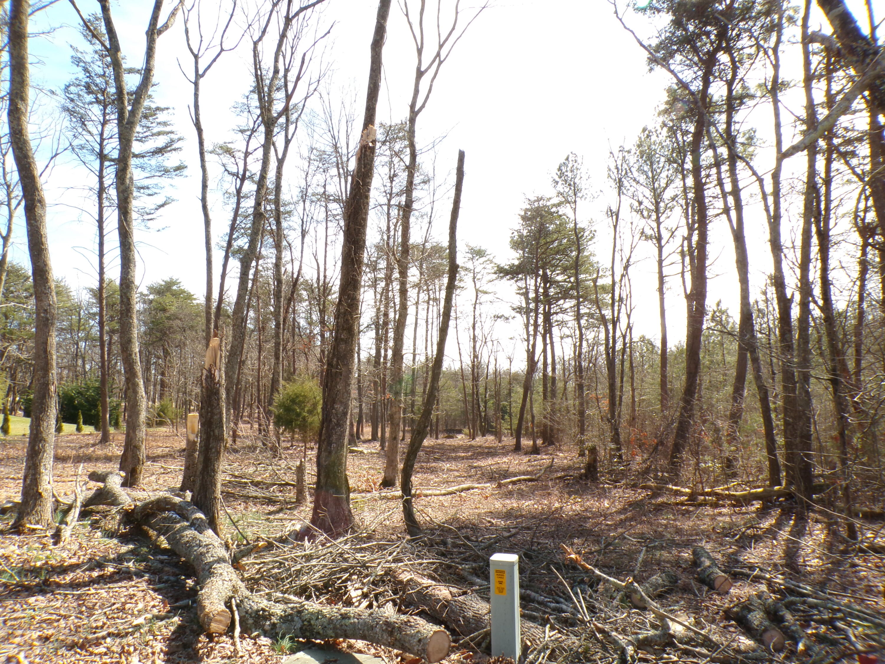 0 Rushing Water Trail, 2