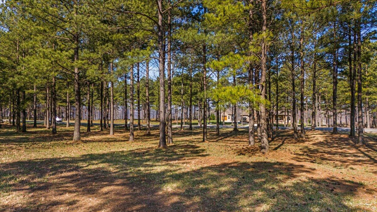 950 Cumberland Circle, Sv360