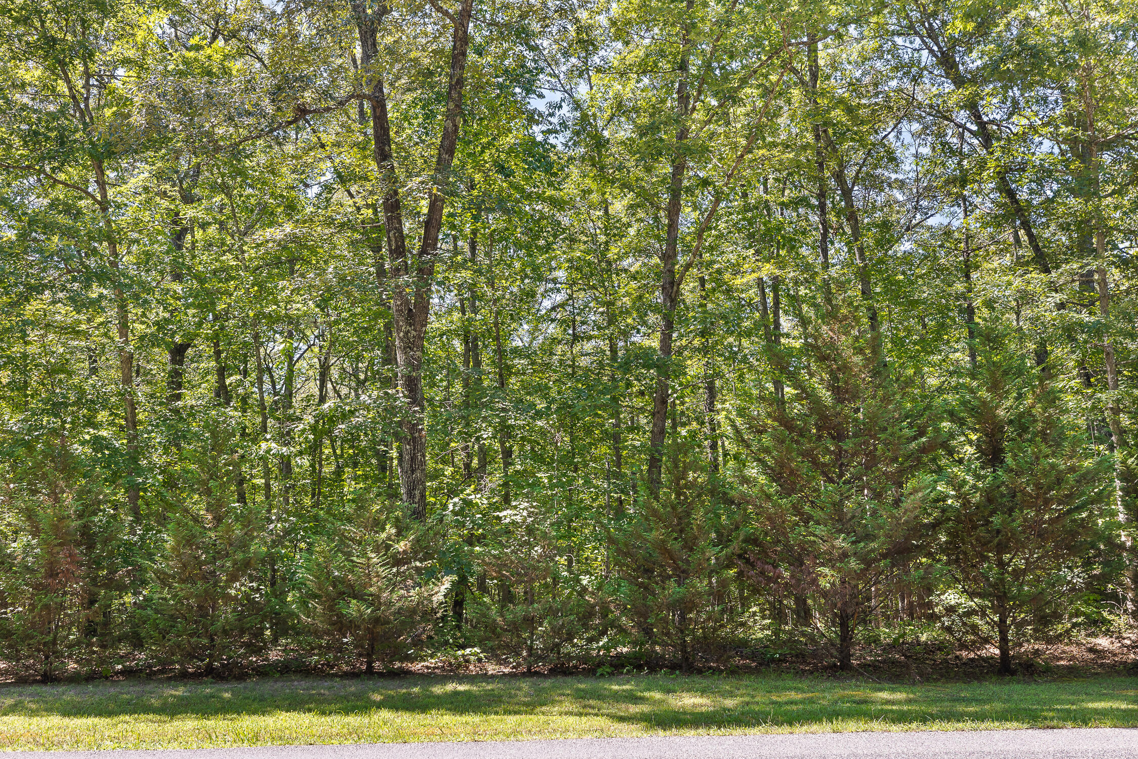 223 Woodland Ridge Road