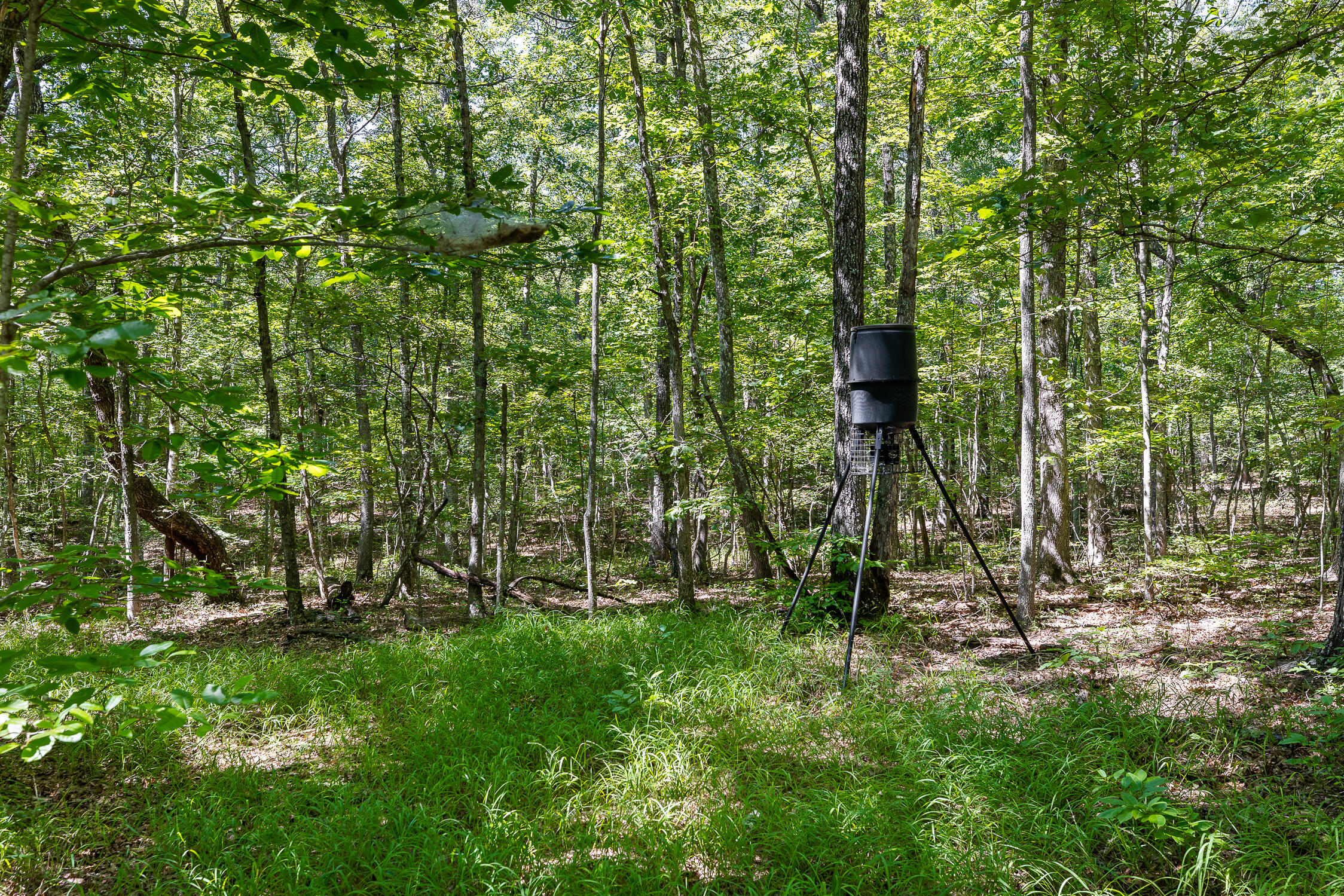 223 Woodland Ridge Road