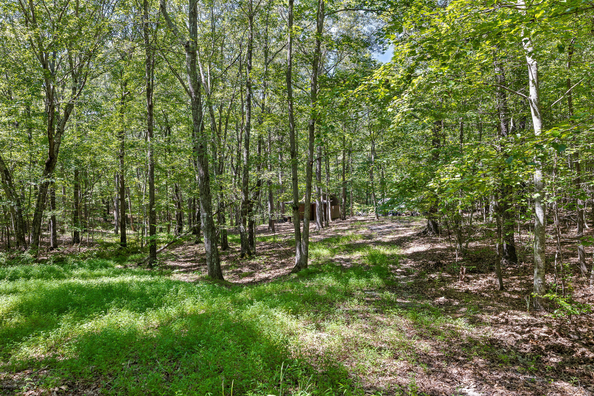 223 Woodland Ridge Road