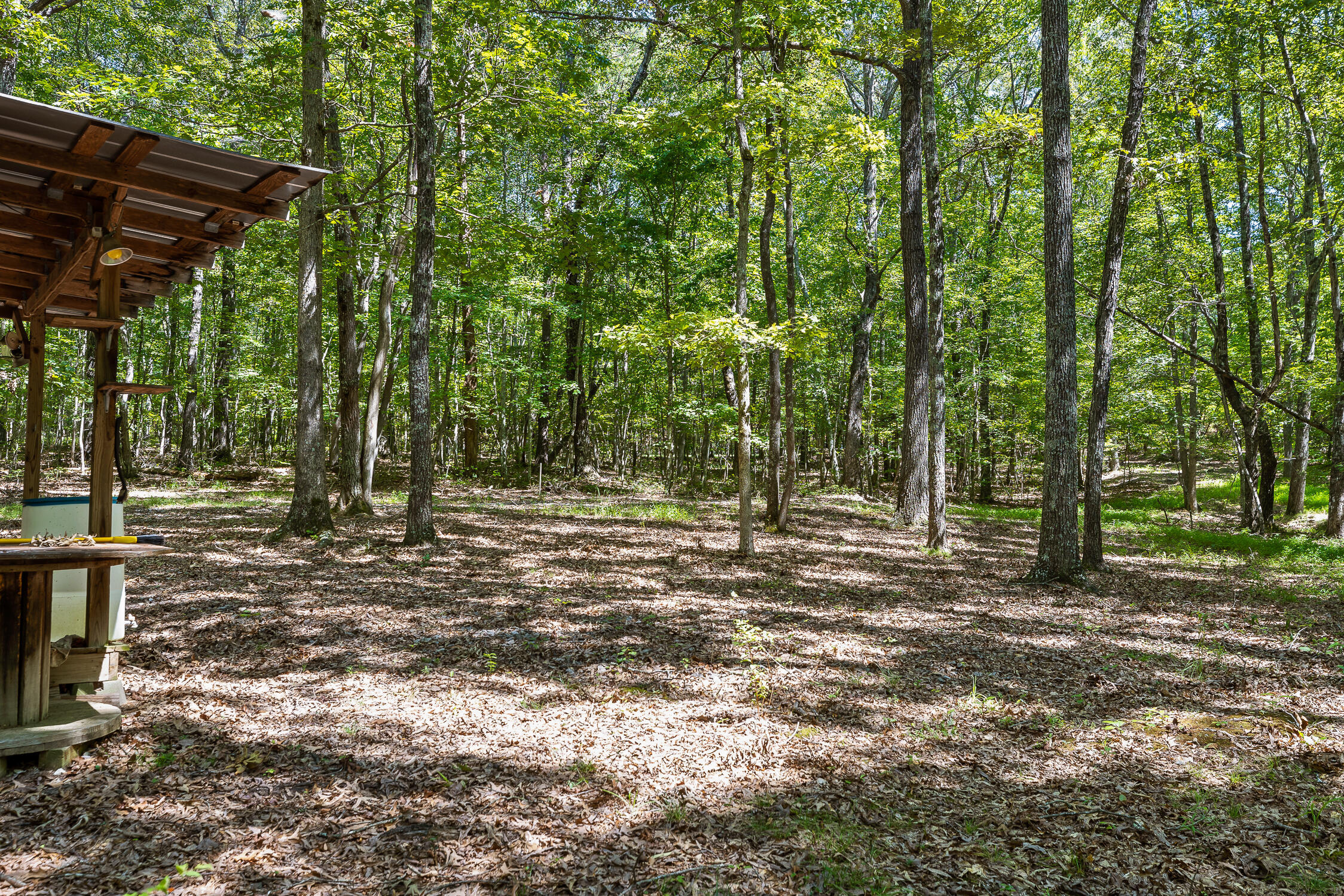 223 Woodland Ridge Road