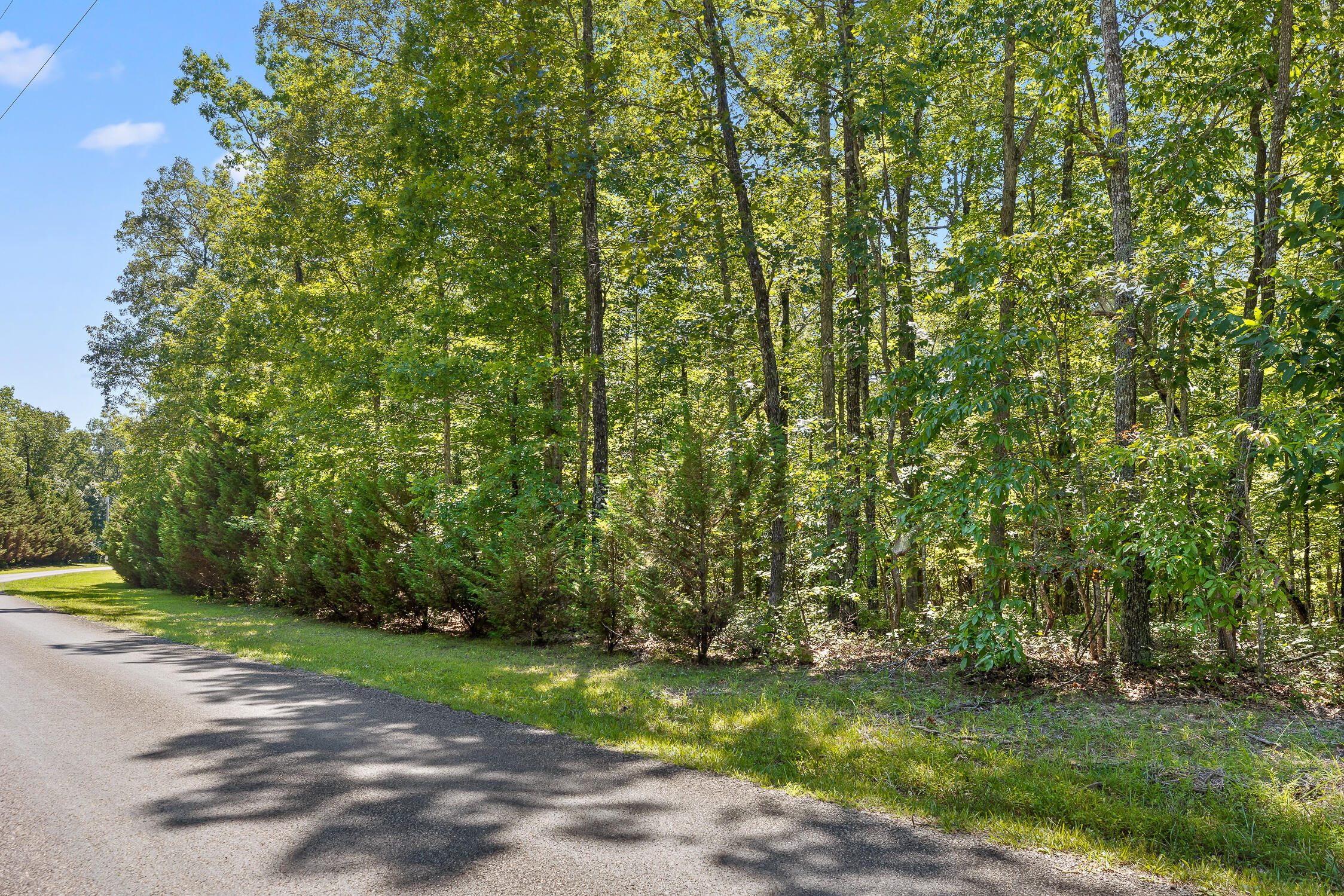 223 Woodland Ridge Road