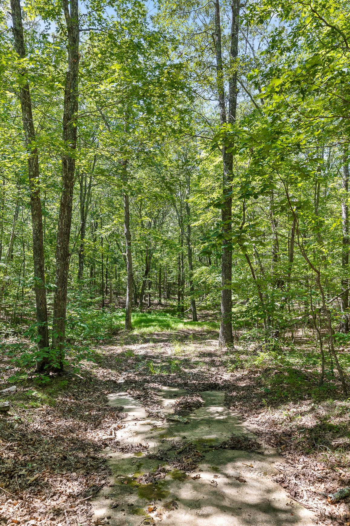 223 Woodland Ridge Road