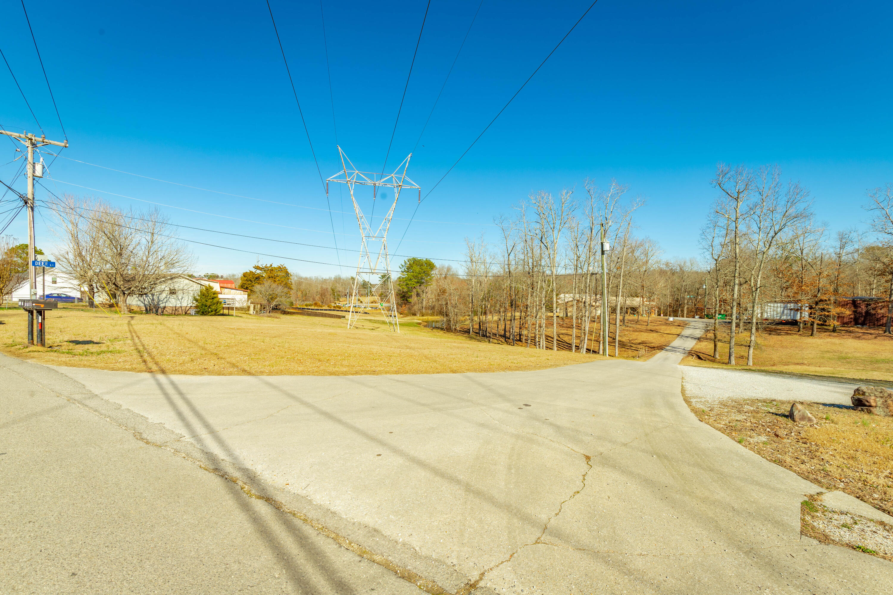 85 Deer Lane