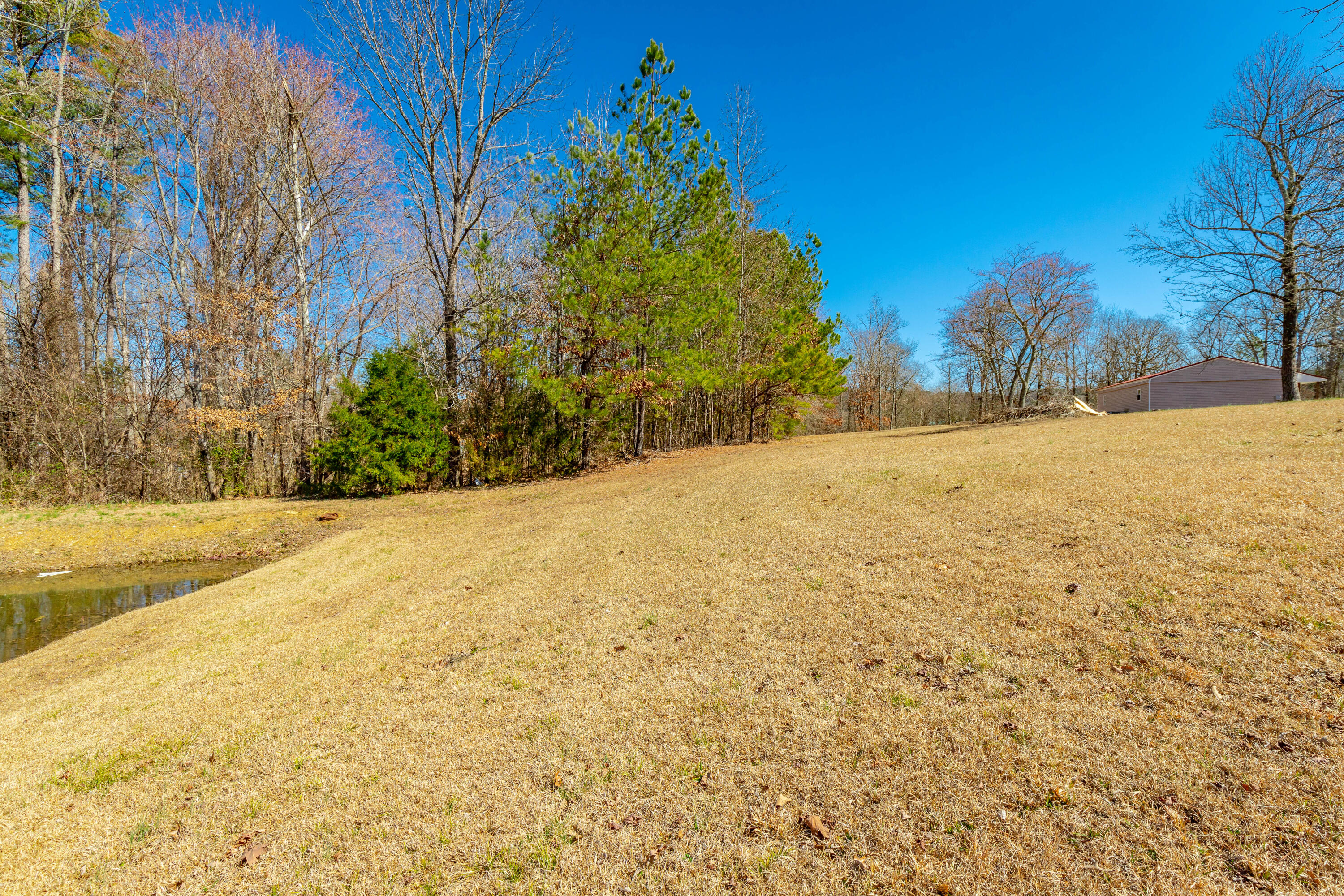 85 Deer Lane