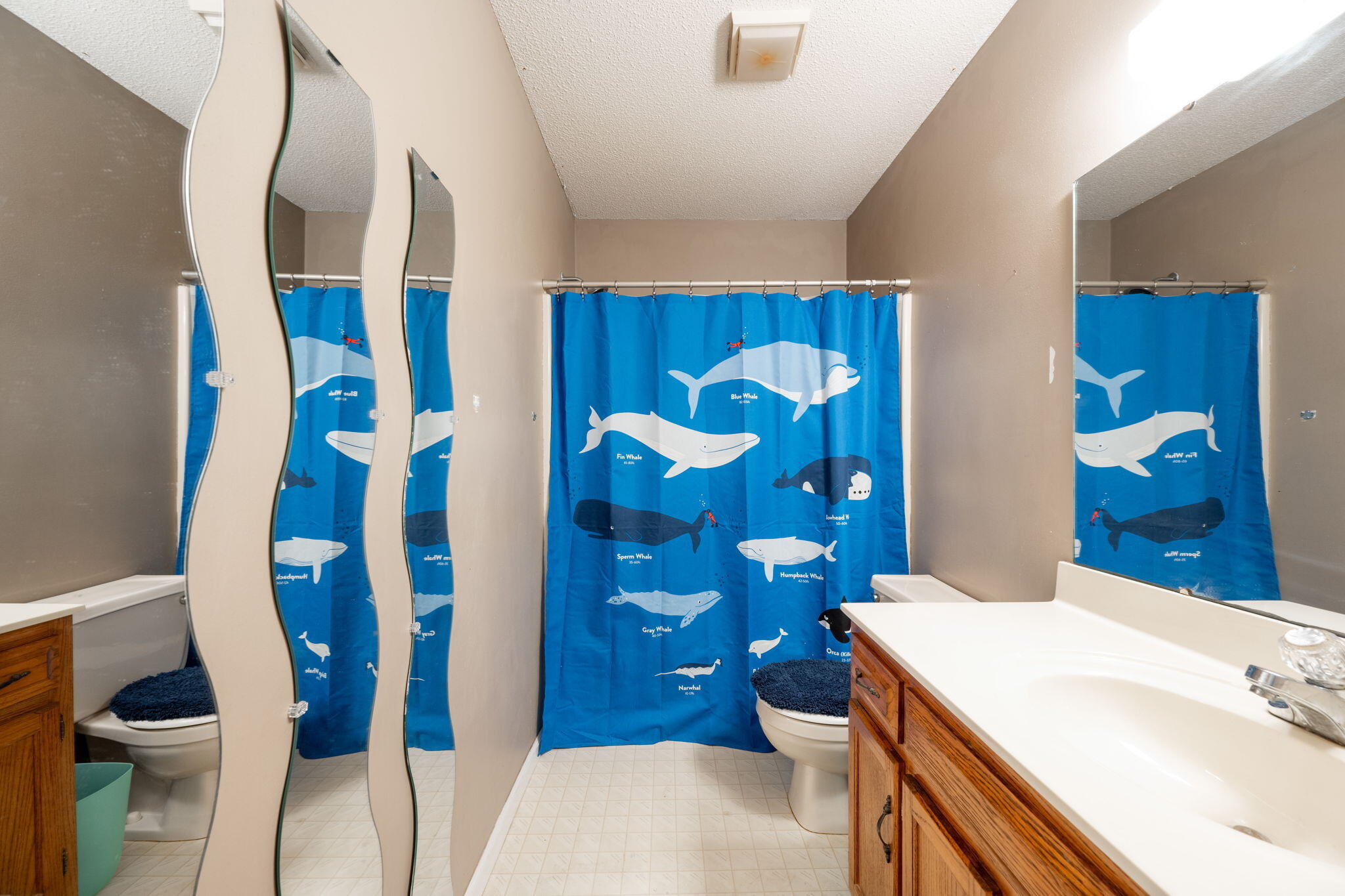 4528 Kings Lake Court
