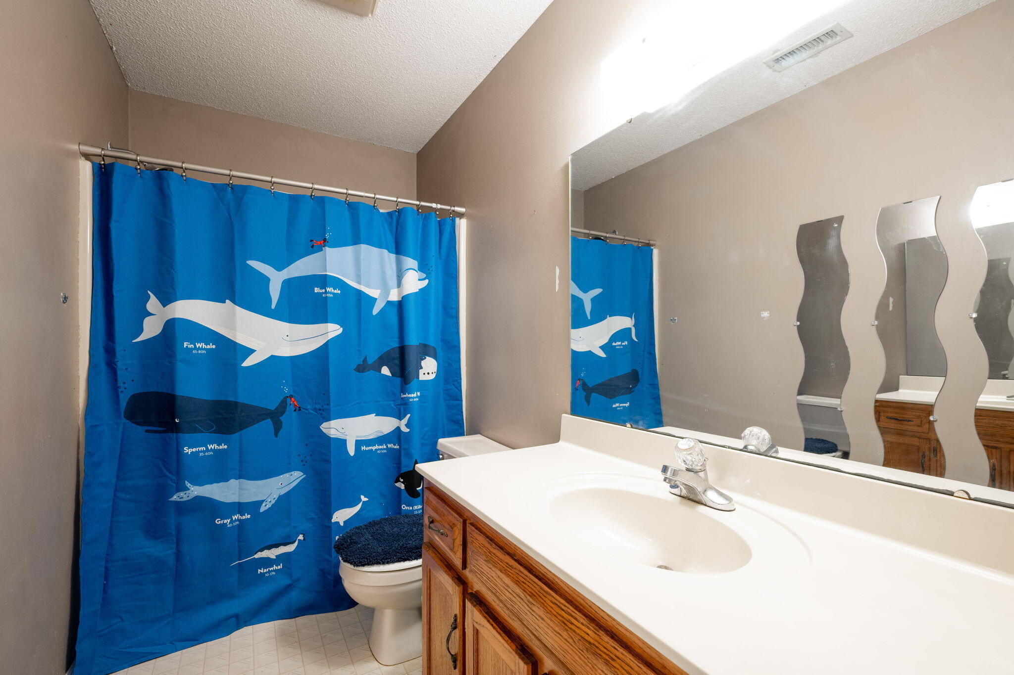 4528 Kings Lake Court