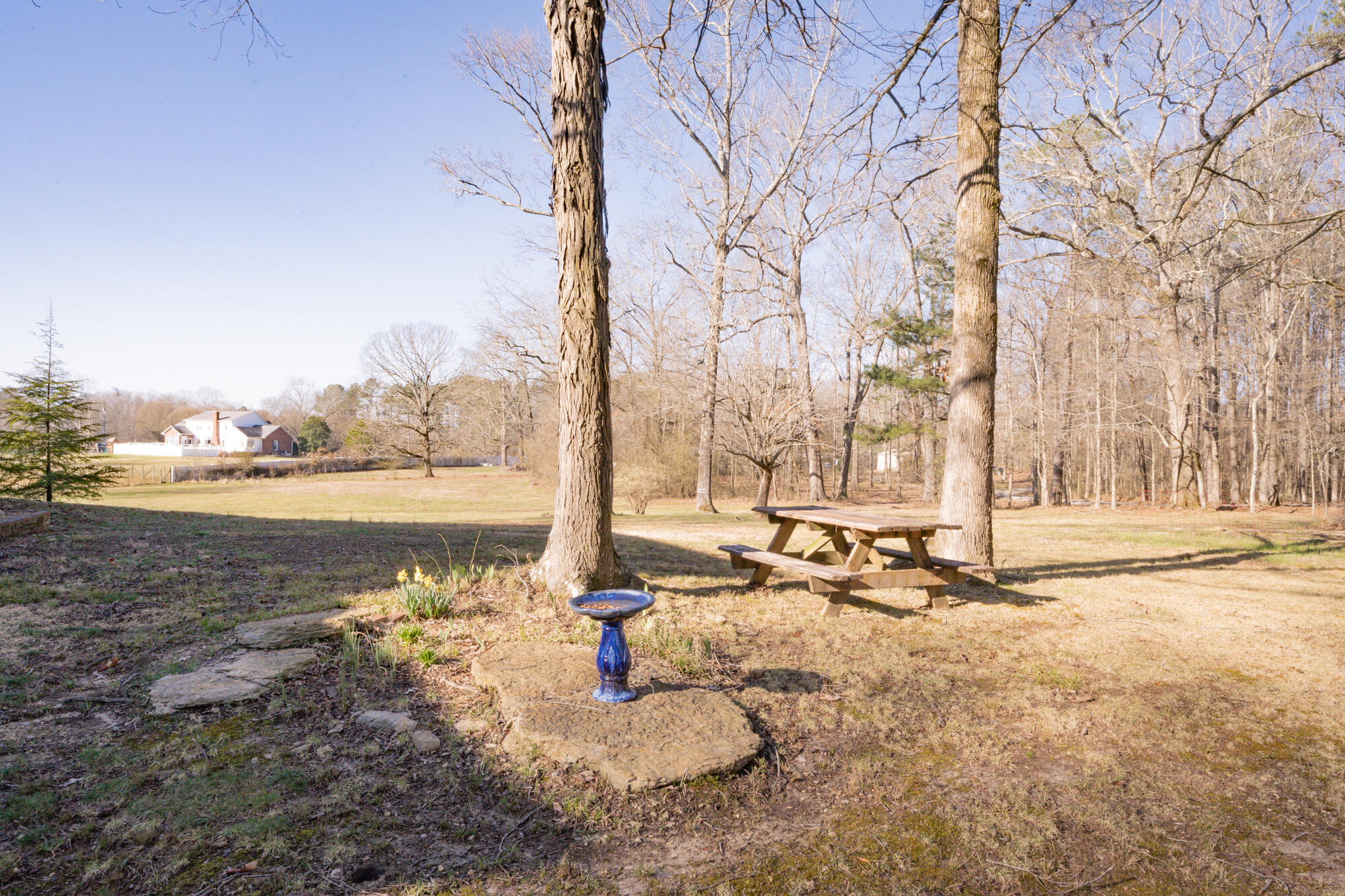 231 Todd Road SE
