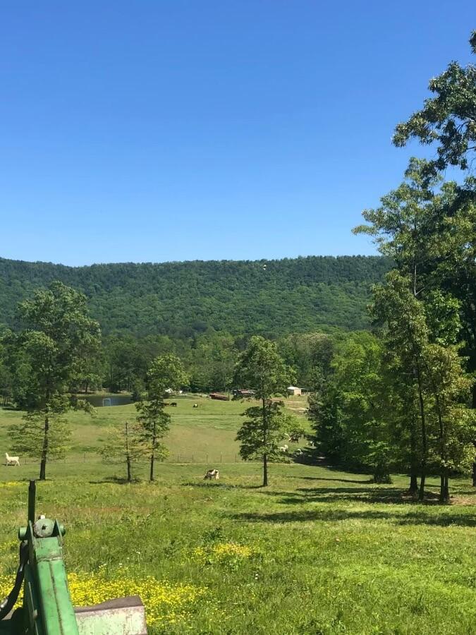 1570 Halls Valley Road