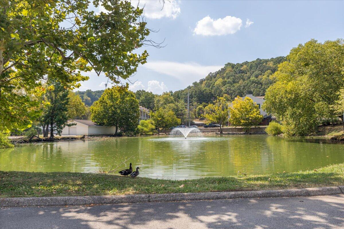 900 Mountain Creek Road, 208