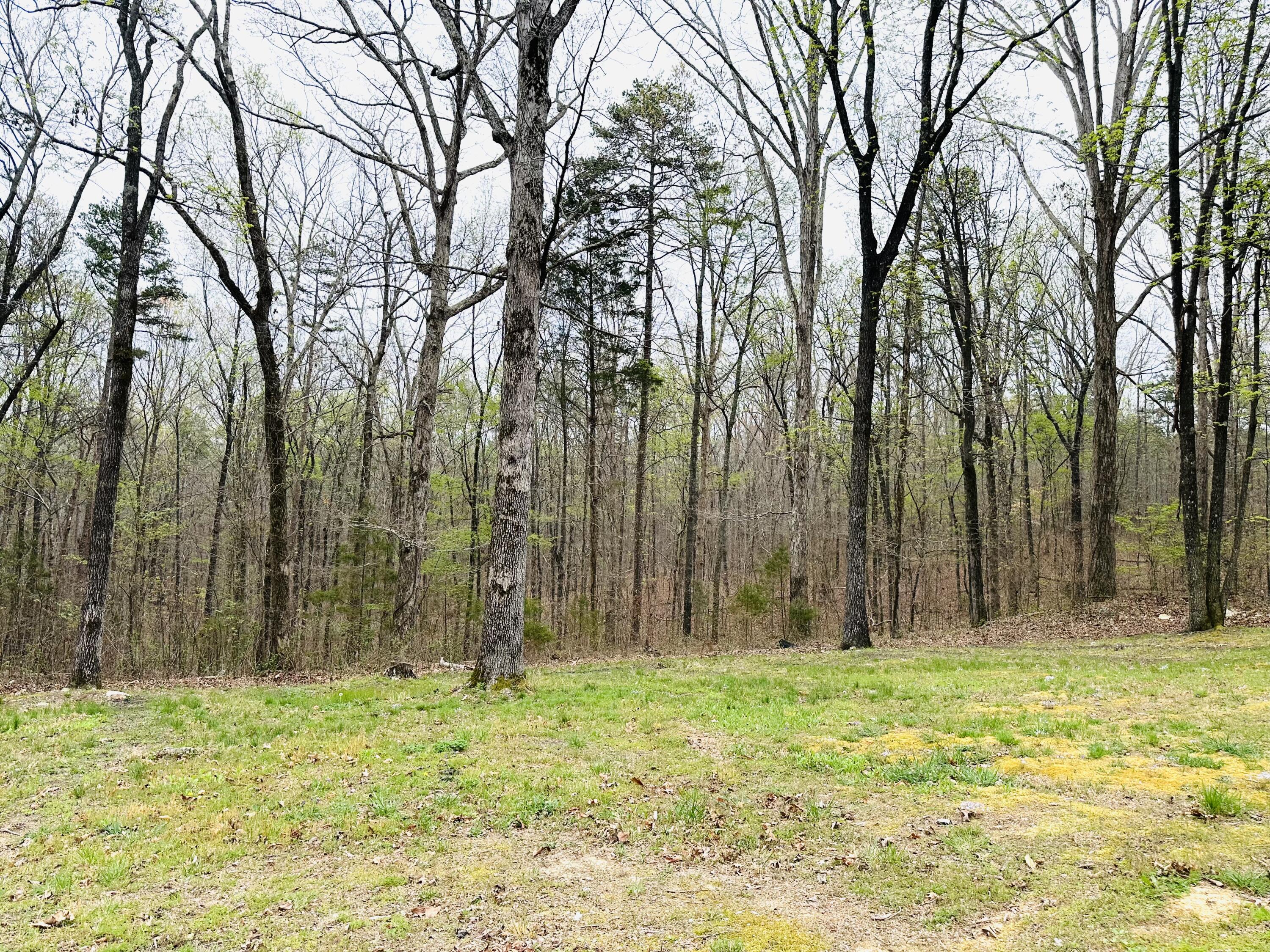 142 Huckleberry Trail, LaFayette