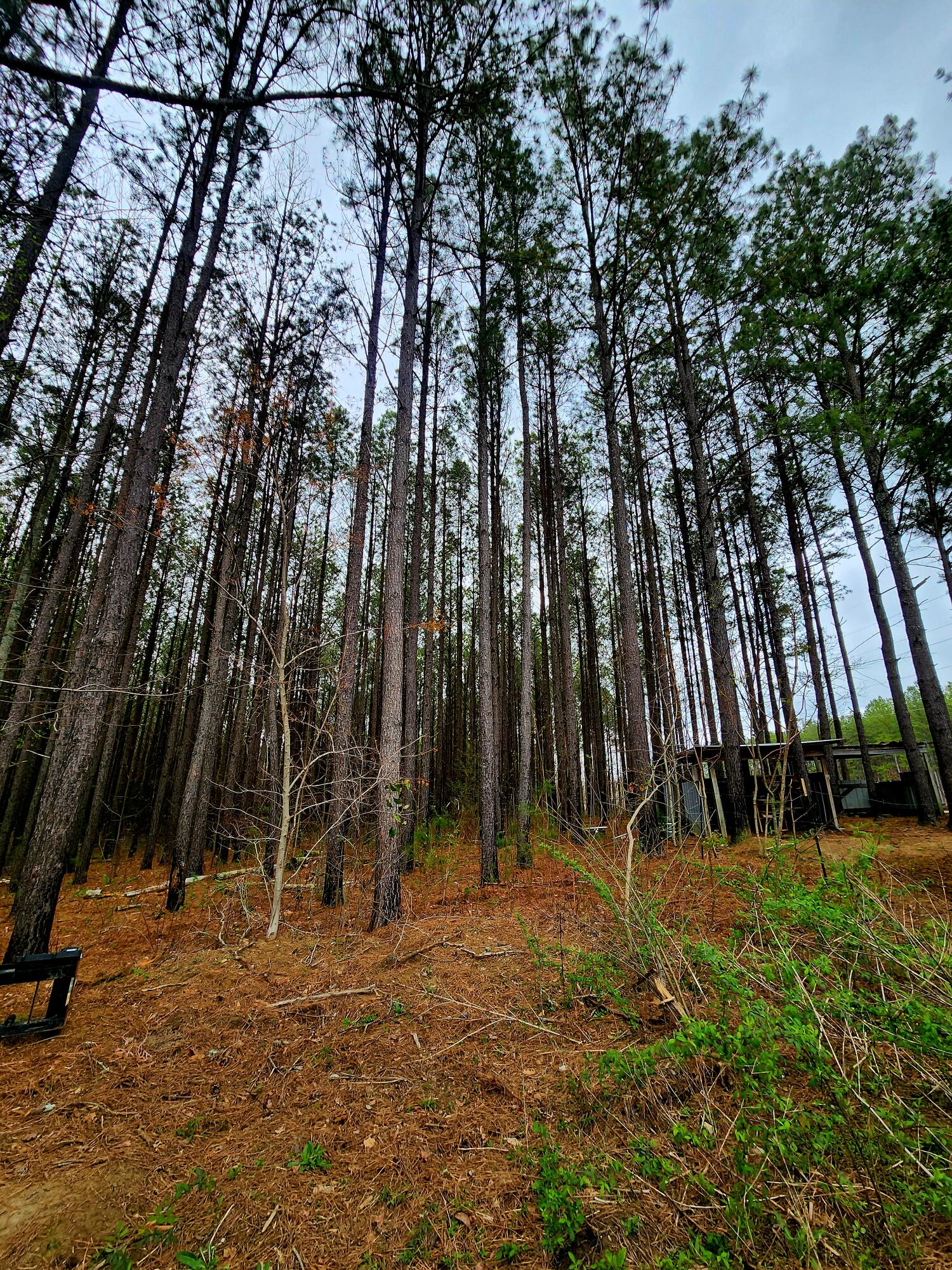 220 Browns Trace Road