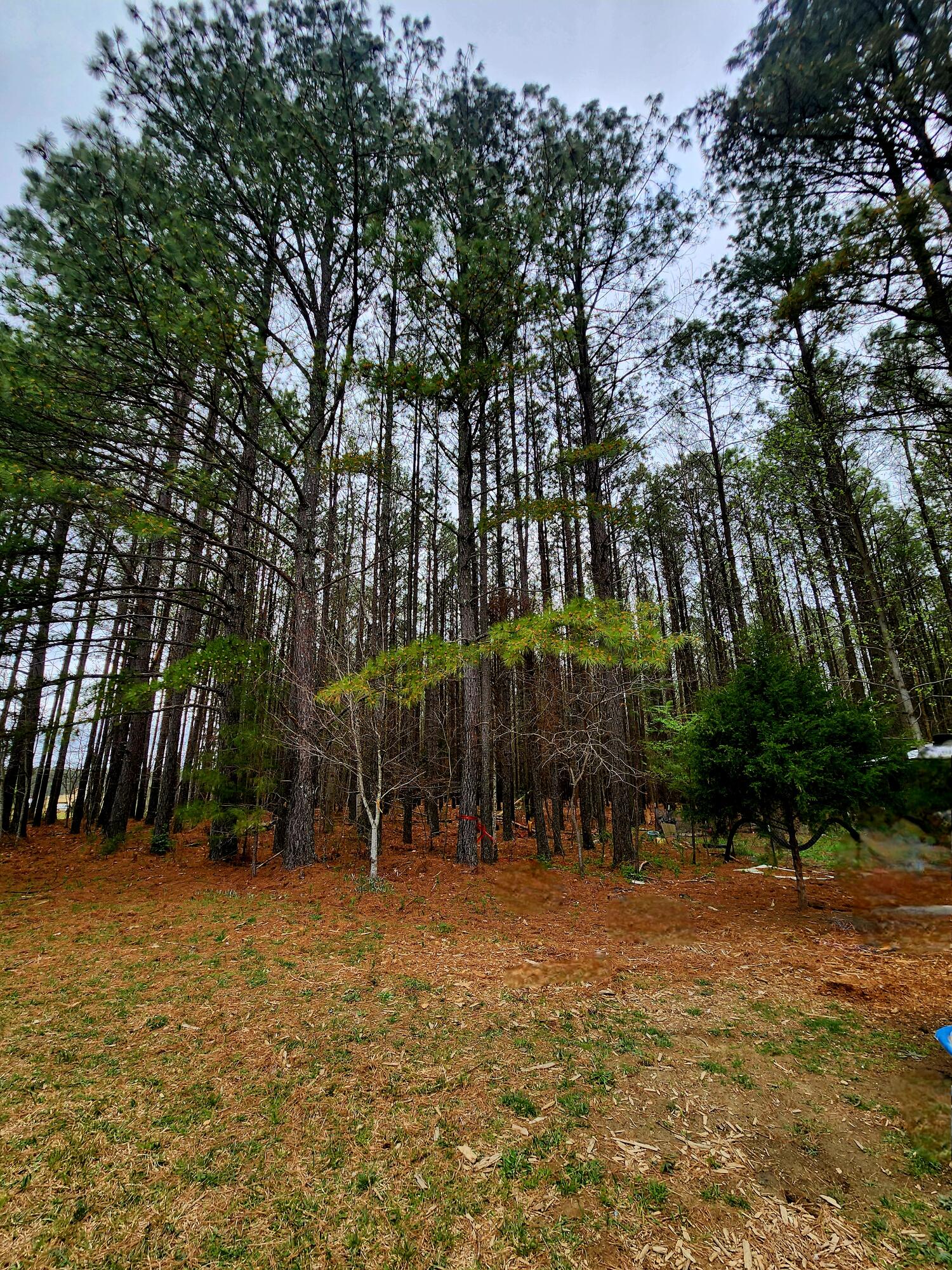 220 Browns Trace Road