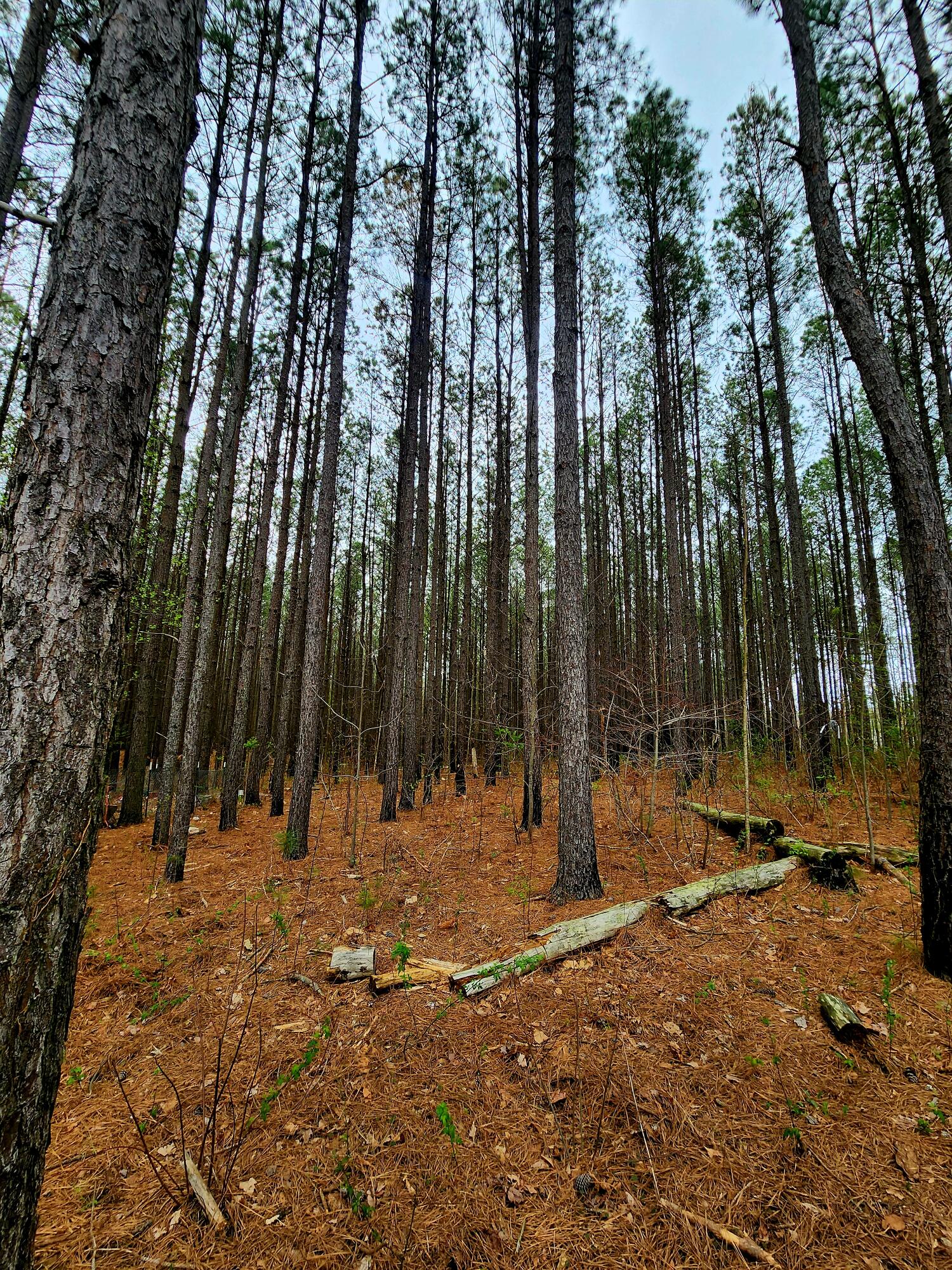 220 Browns Trace Road