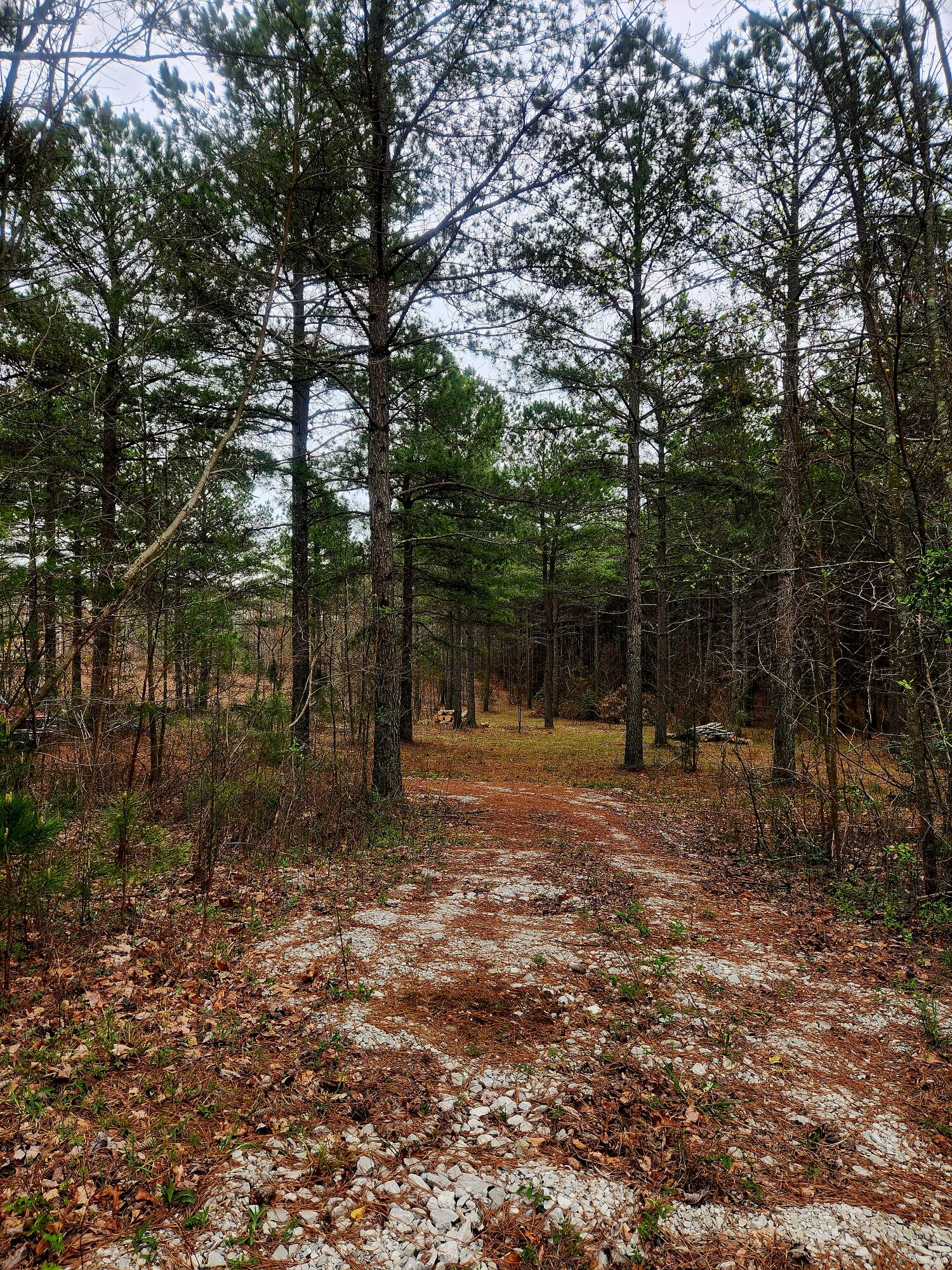 220 Browns Trace Road