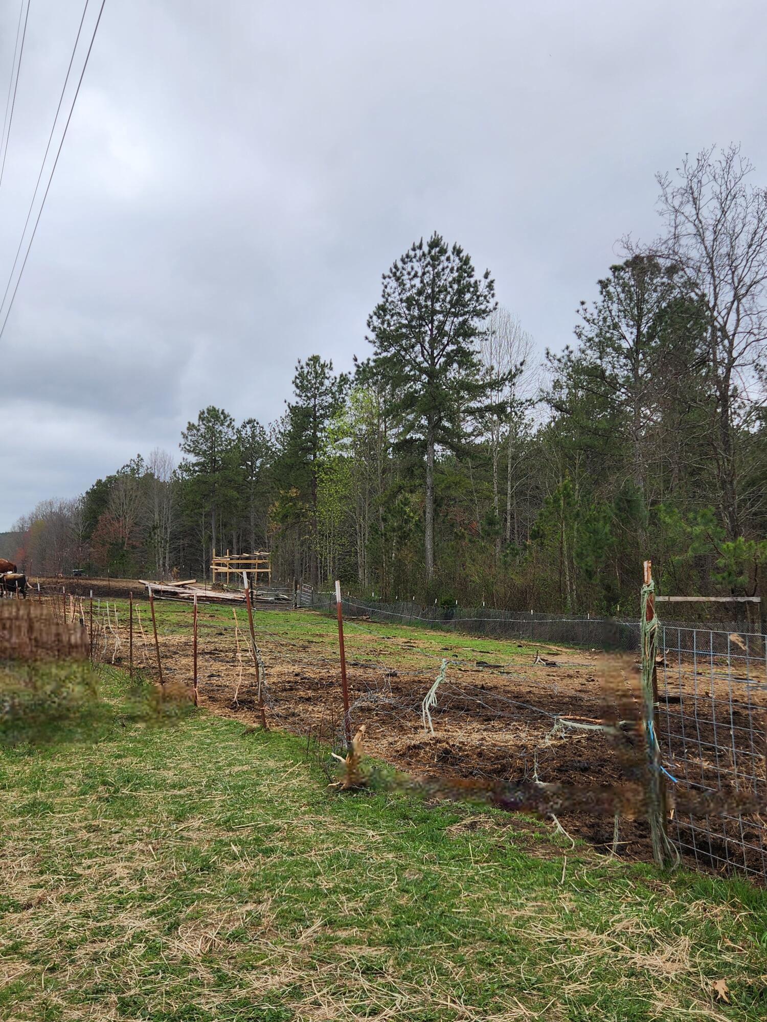 220 Browns Trace Road