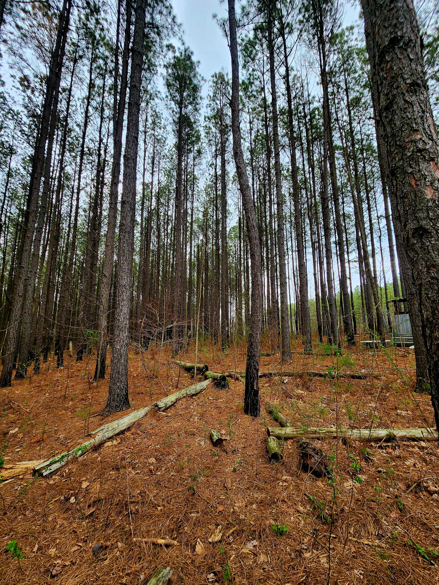 220 Browns Trace Road