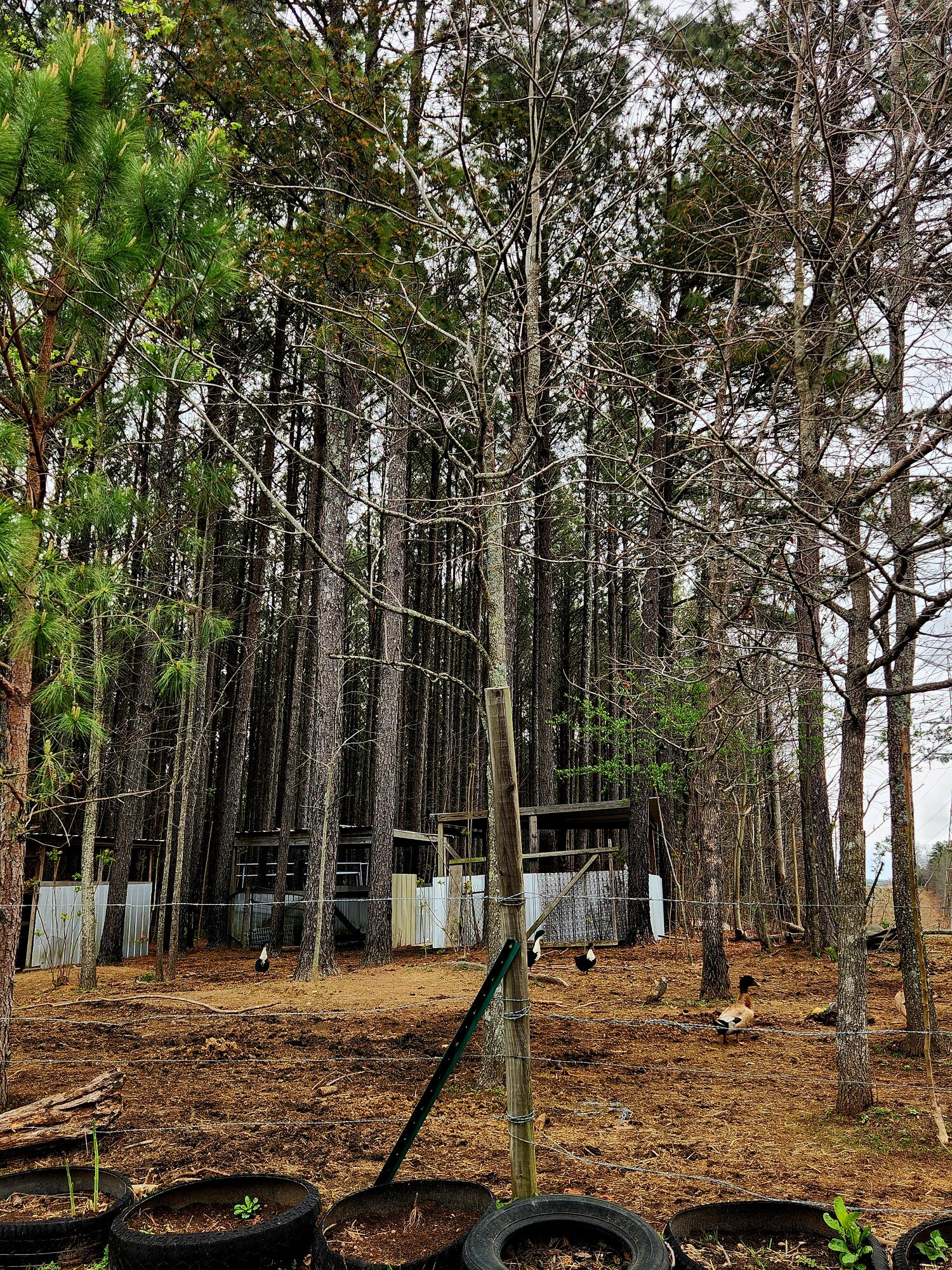 220 Browns Trace Road