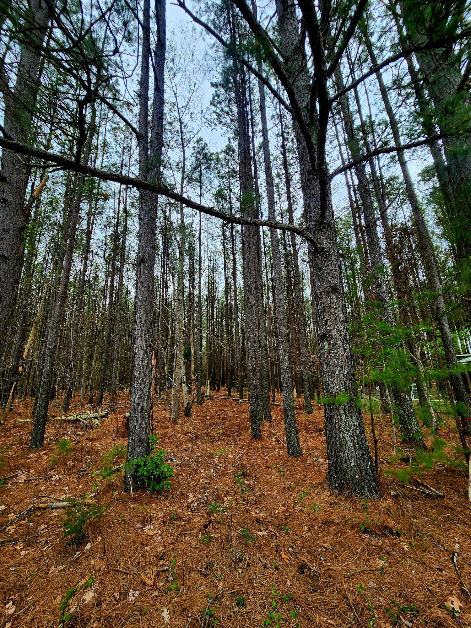 220 Browns Trace Road