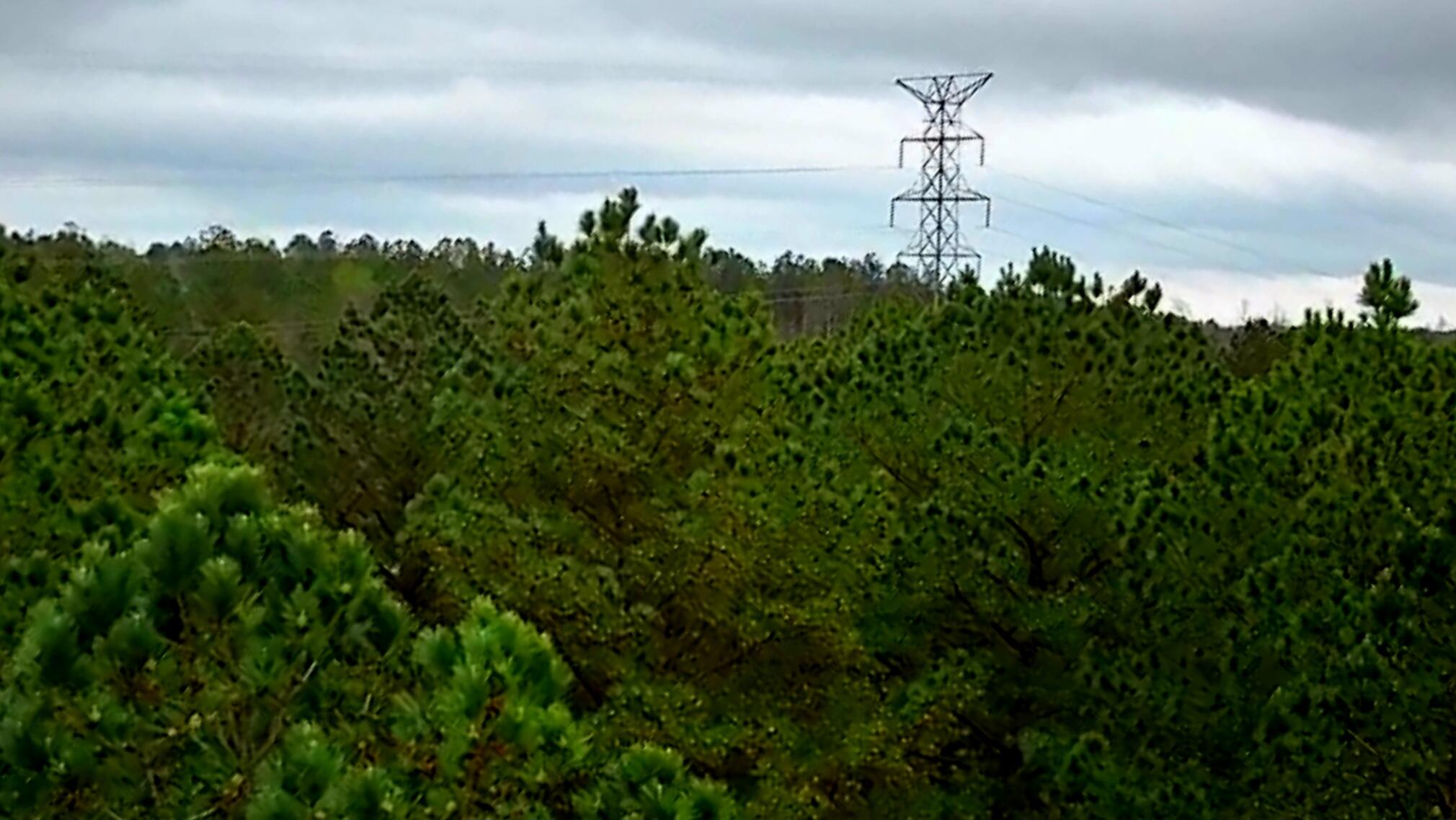 220 Browns Trace Road