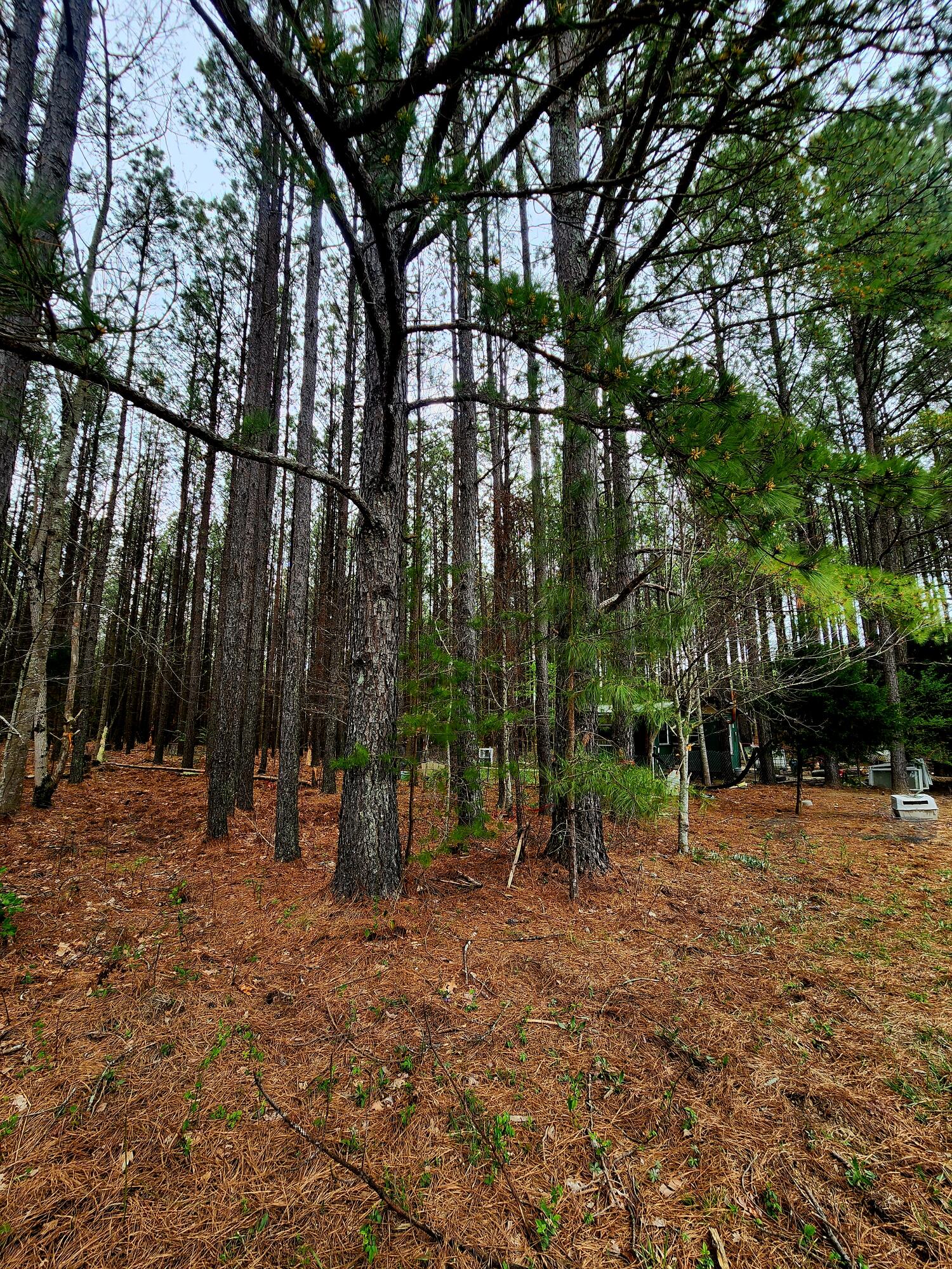 220 Browns Trace Road