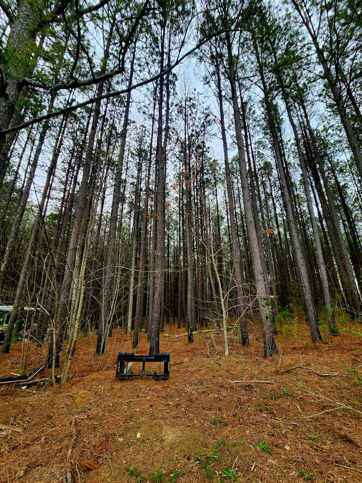 220 Browns Trace Road