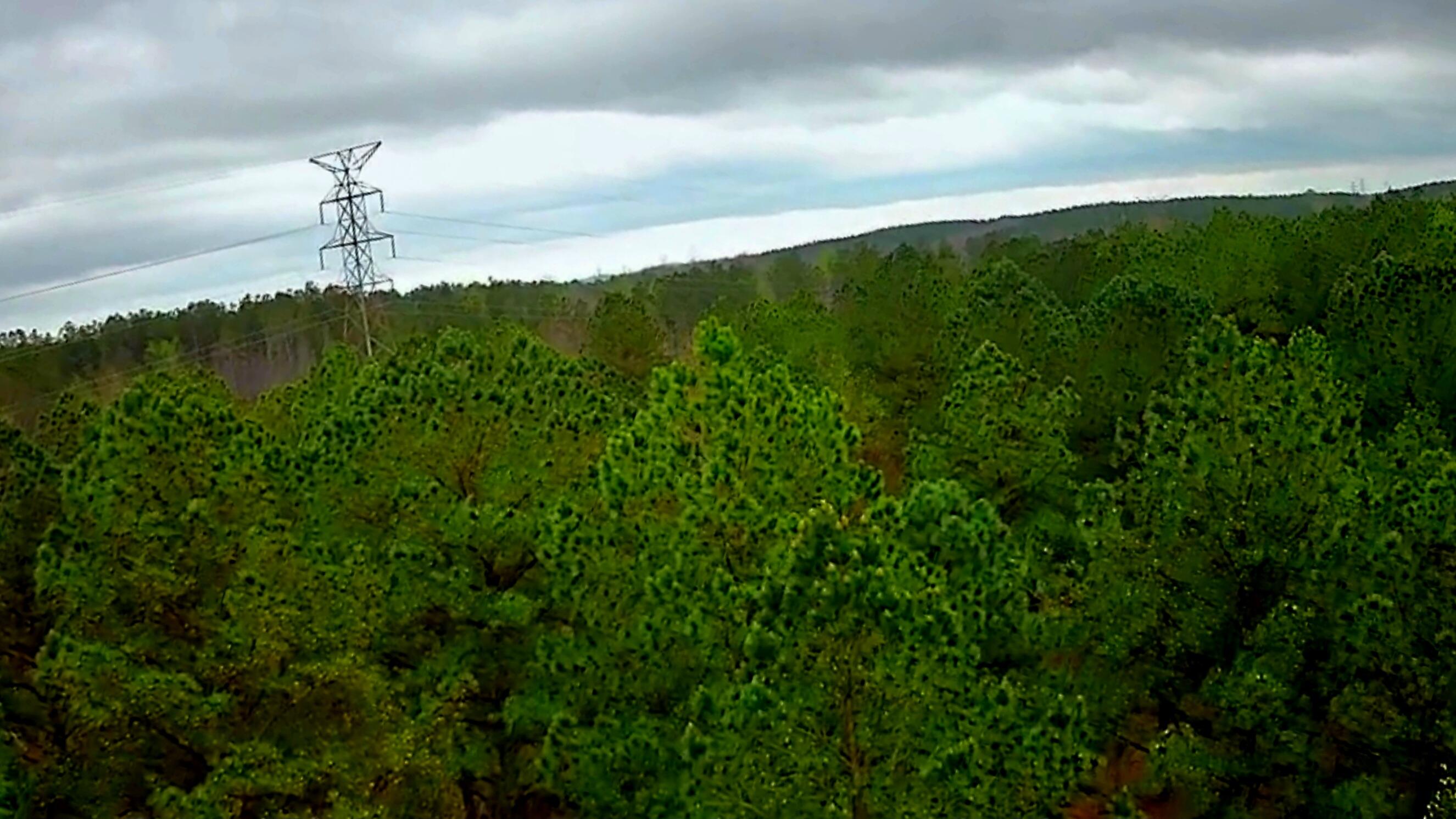 220 Browns Trace Road