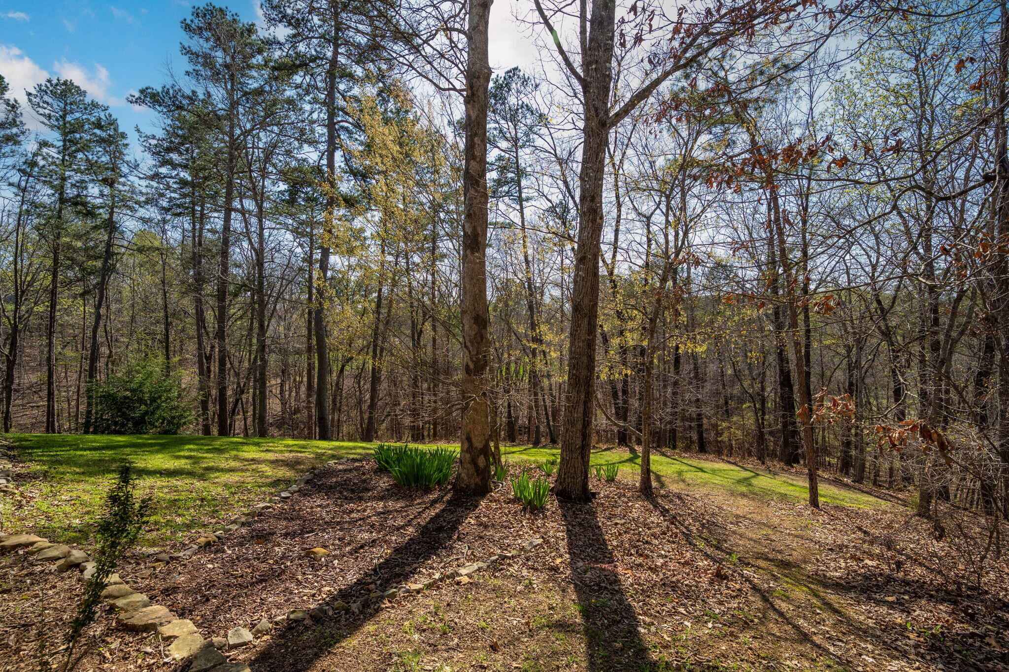 1026 Trojan View Drive