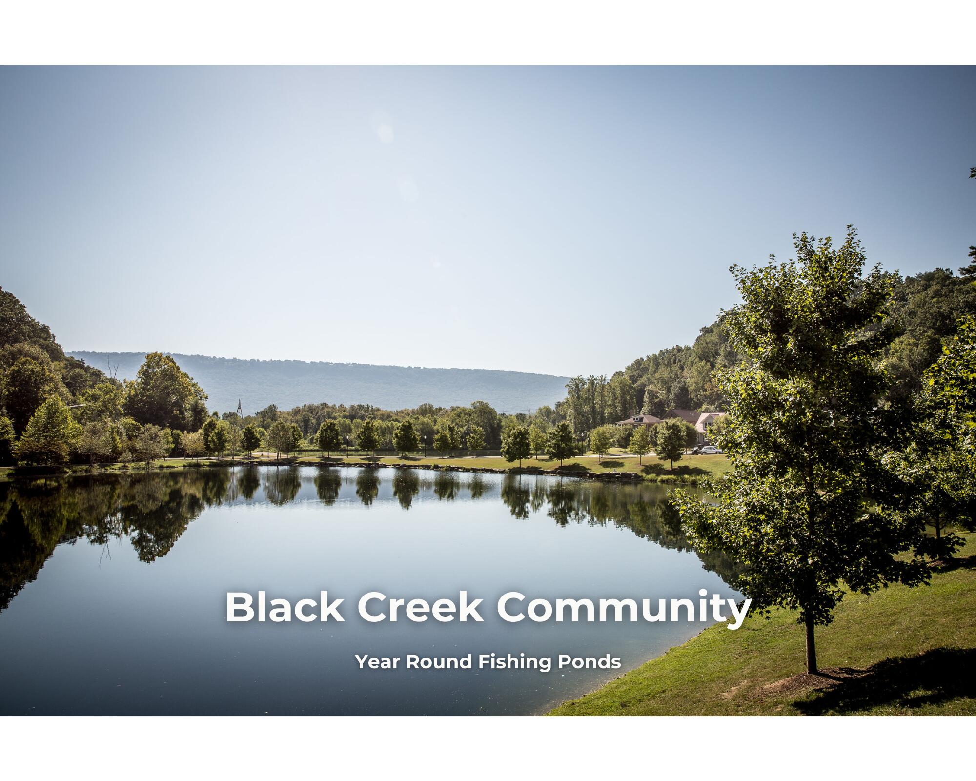 4838 Amethyst Road, 905