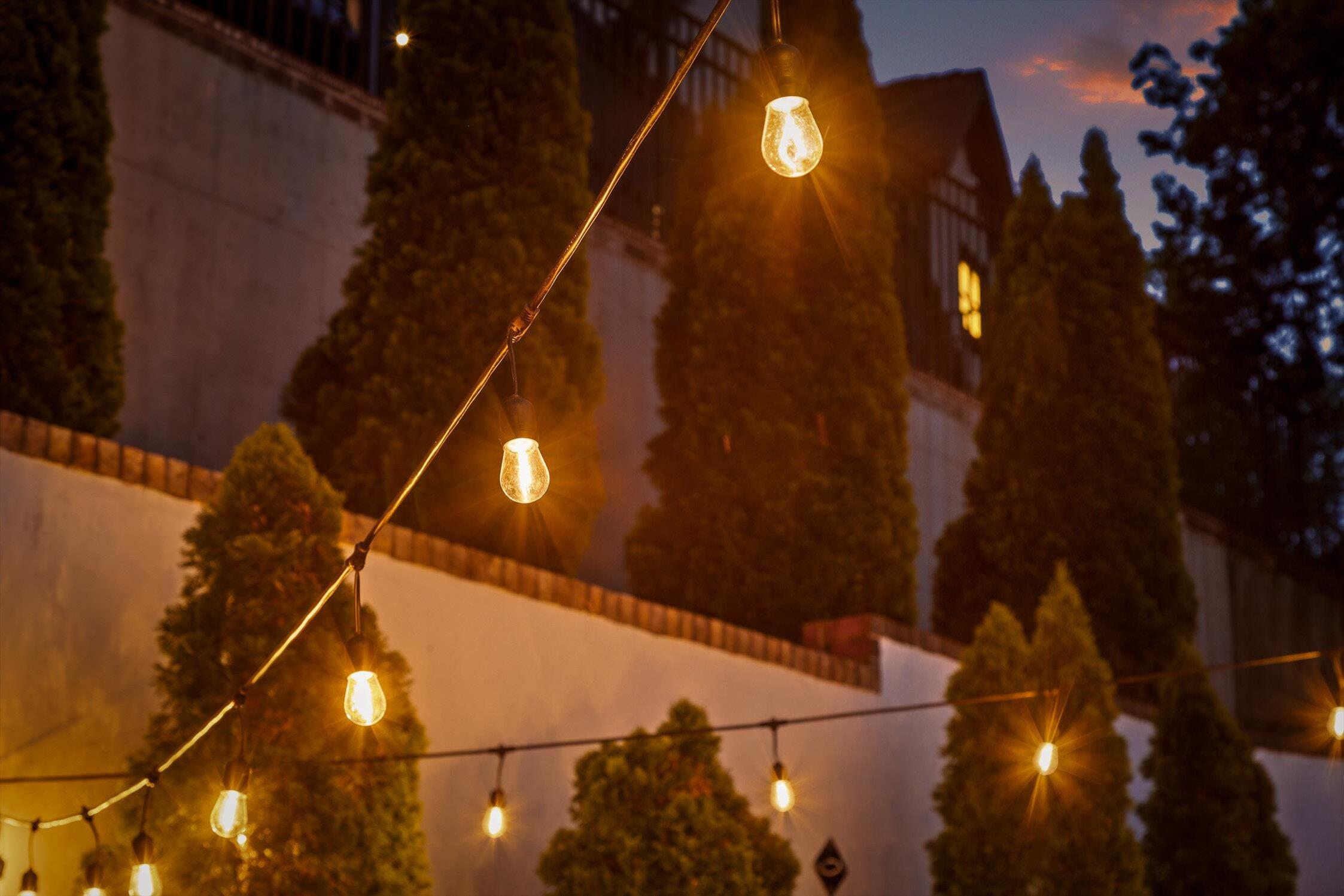 1704 Knickerbocker Avenue