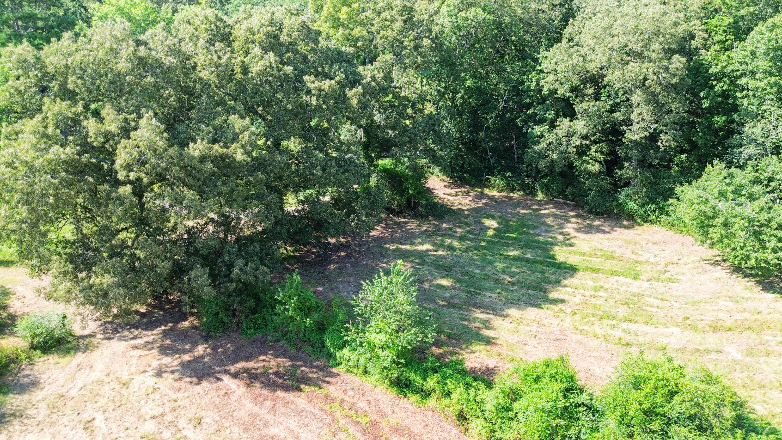 8014 Bork Memorial Drive