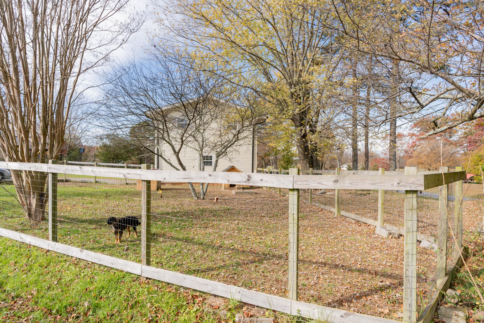 9233 N Ga 301 Highway