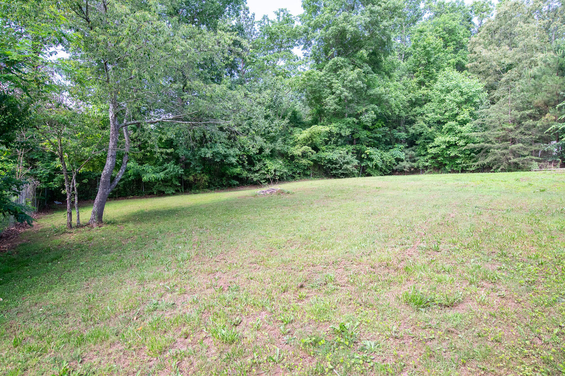 230 Appaloosa Drive