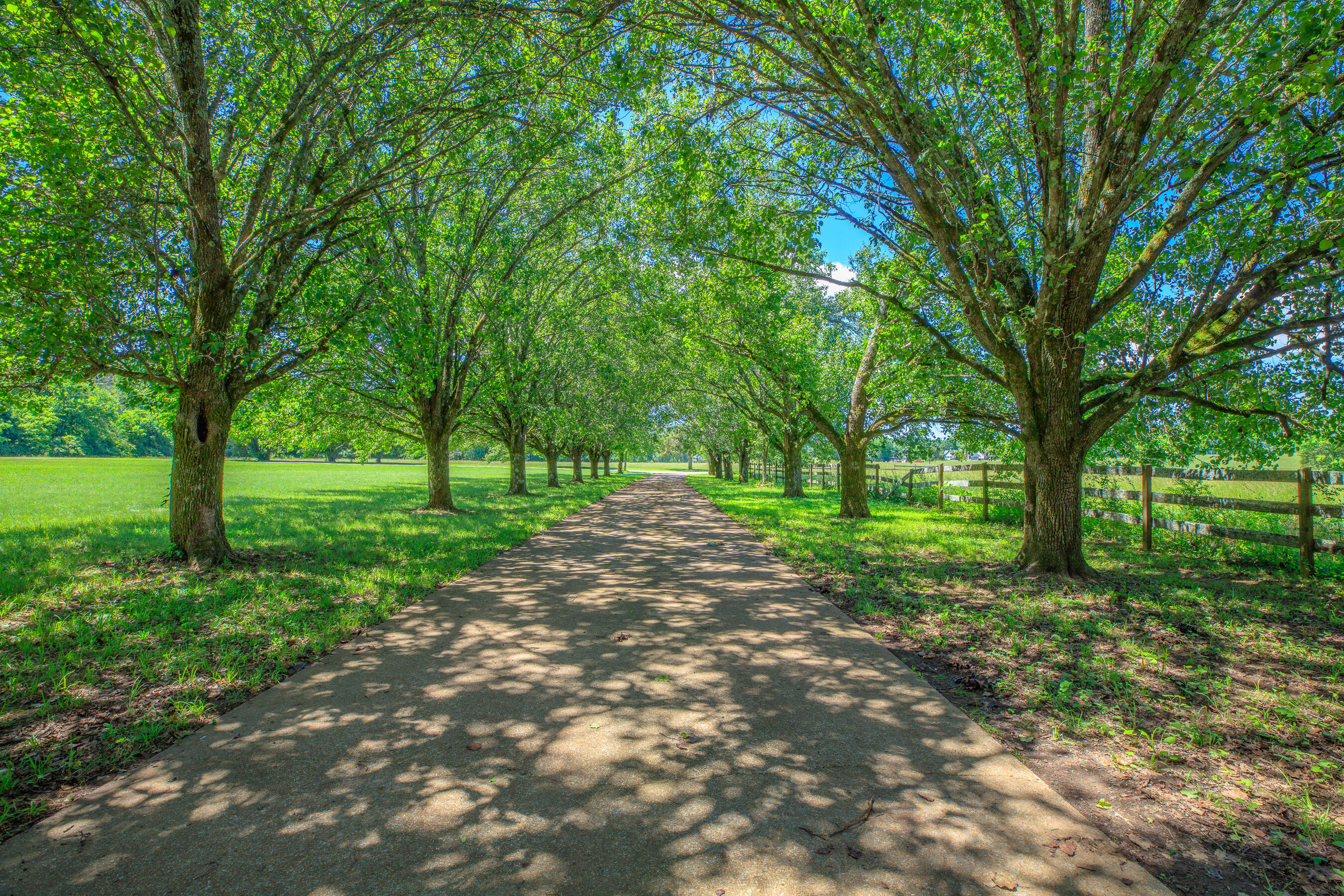 7902 Ooltewah Georgetown Road