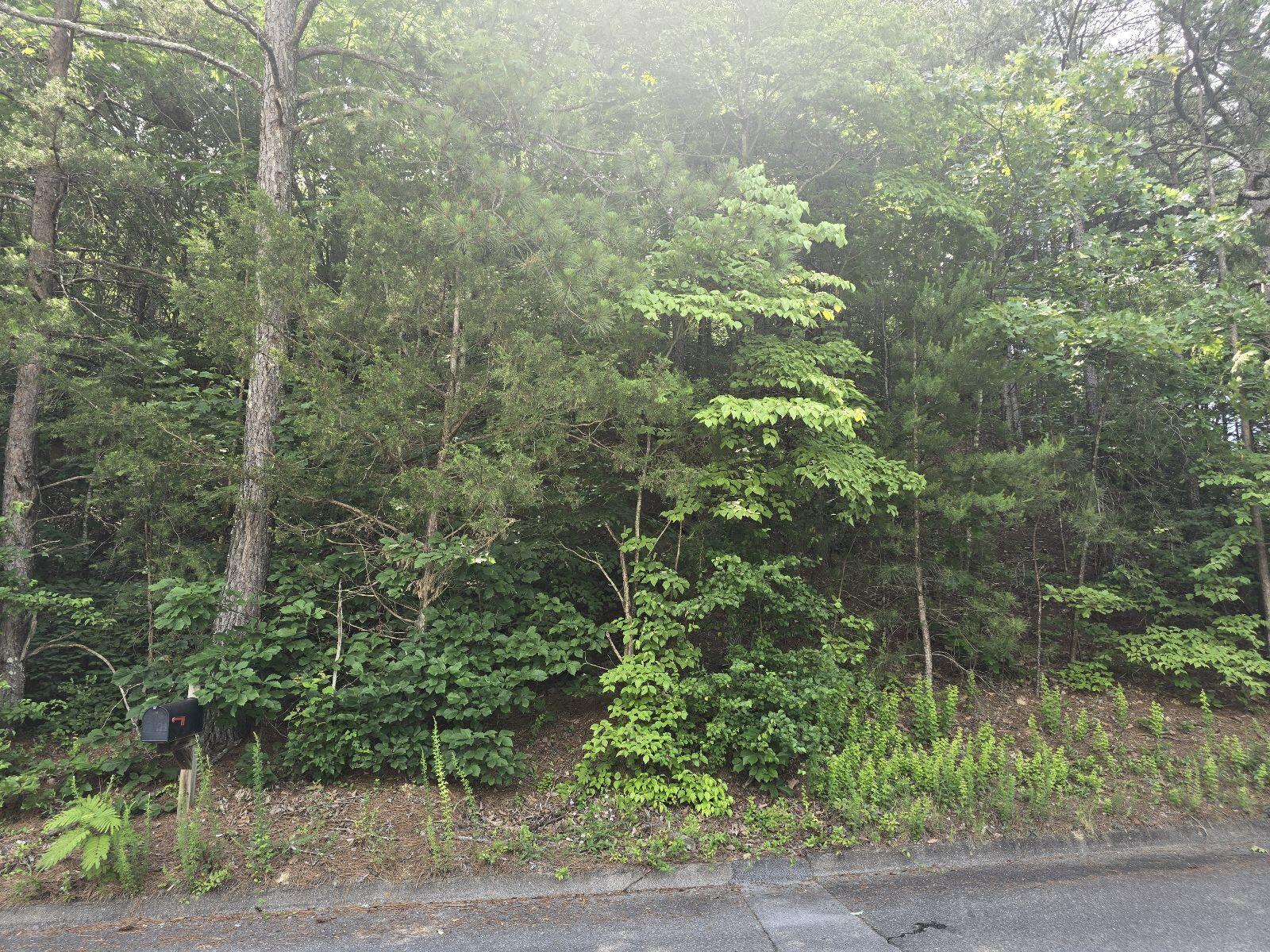3302 Ridgeway Drive NW, Lot 41
