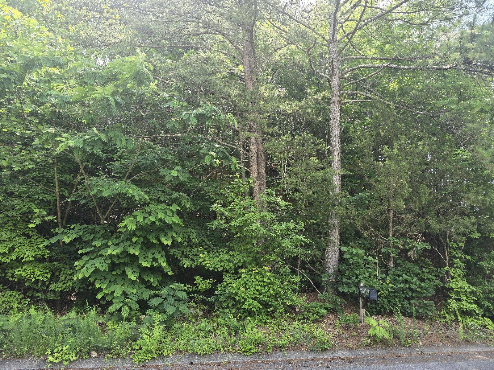 3302 Ridgeway Drive NW, Lot 41