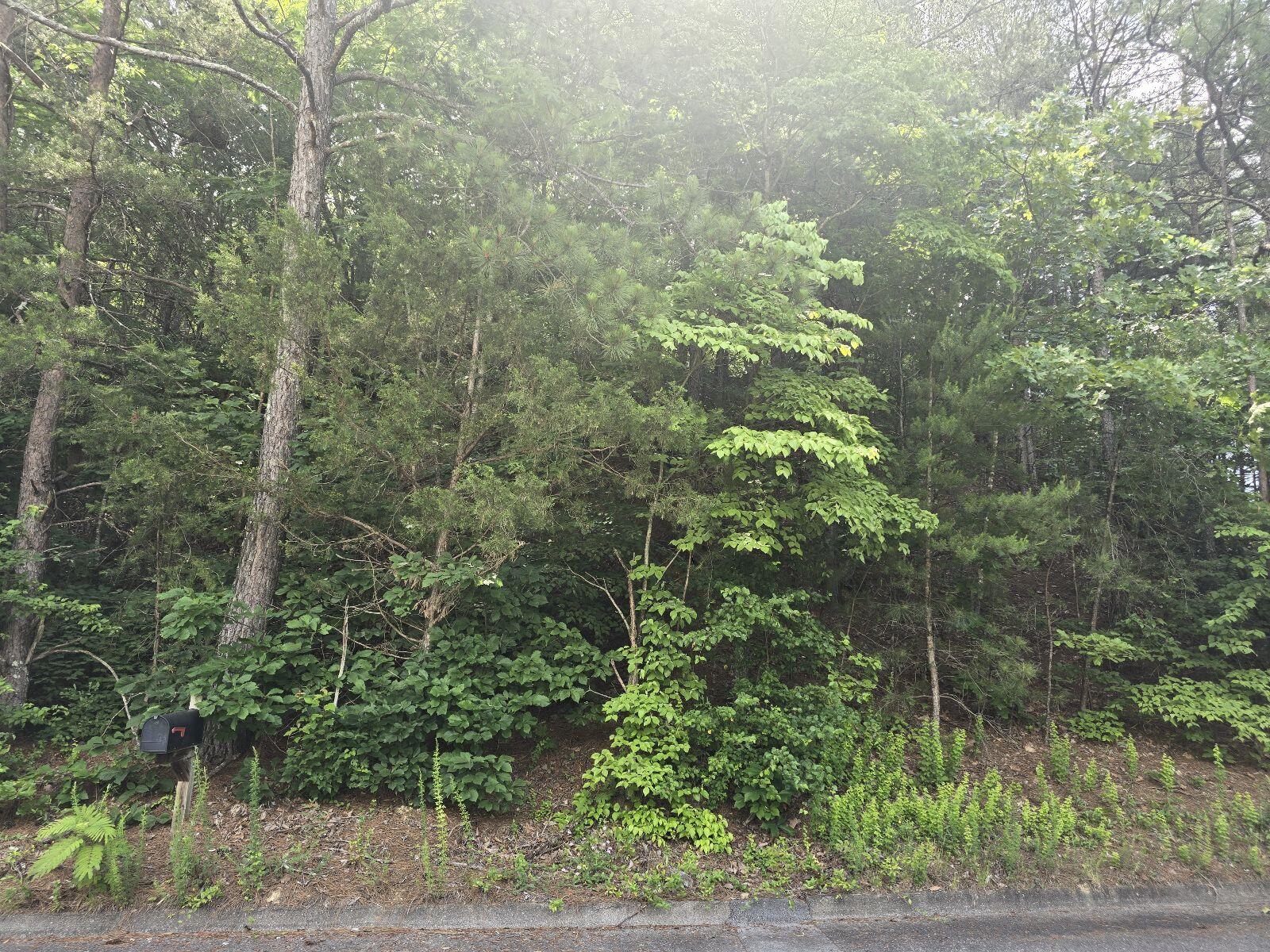 3302 Ridgeway Drive NW, Lot 41