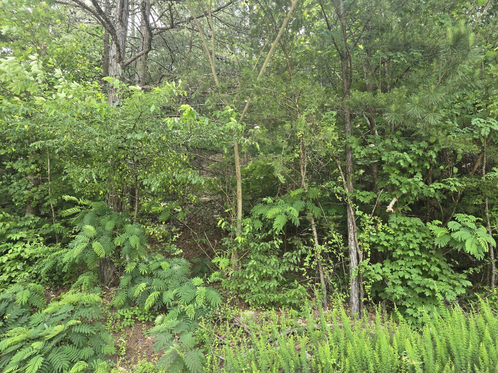 3302 Ridgeway Drive NW, Lot 41